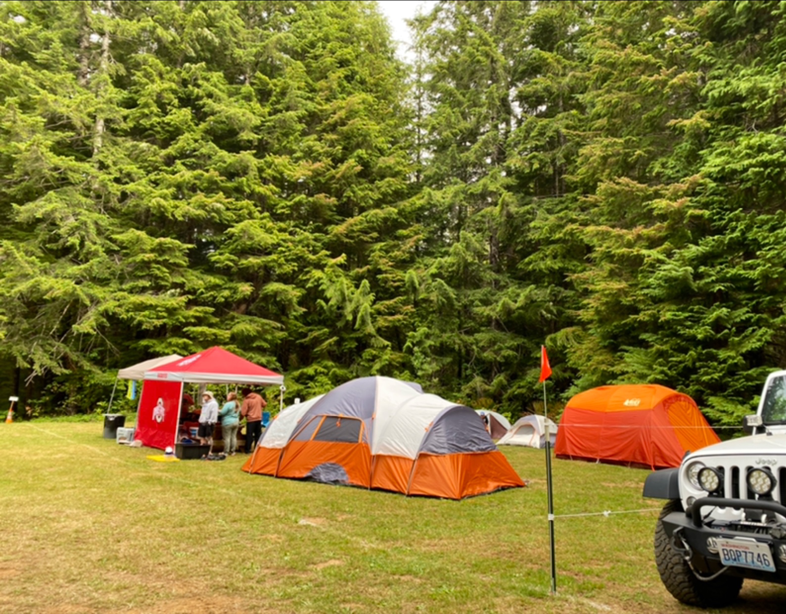 Satsop Campground
