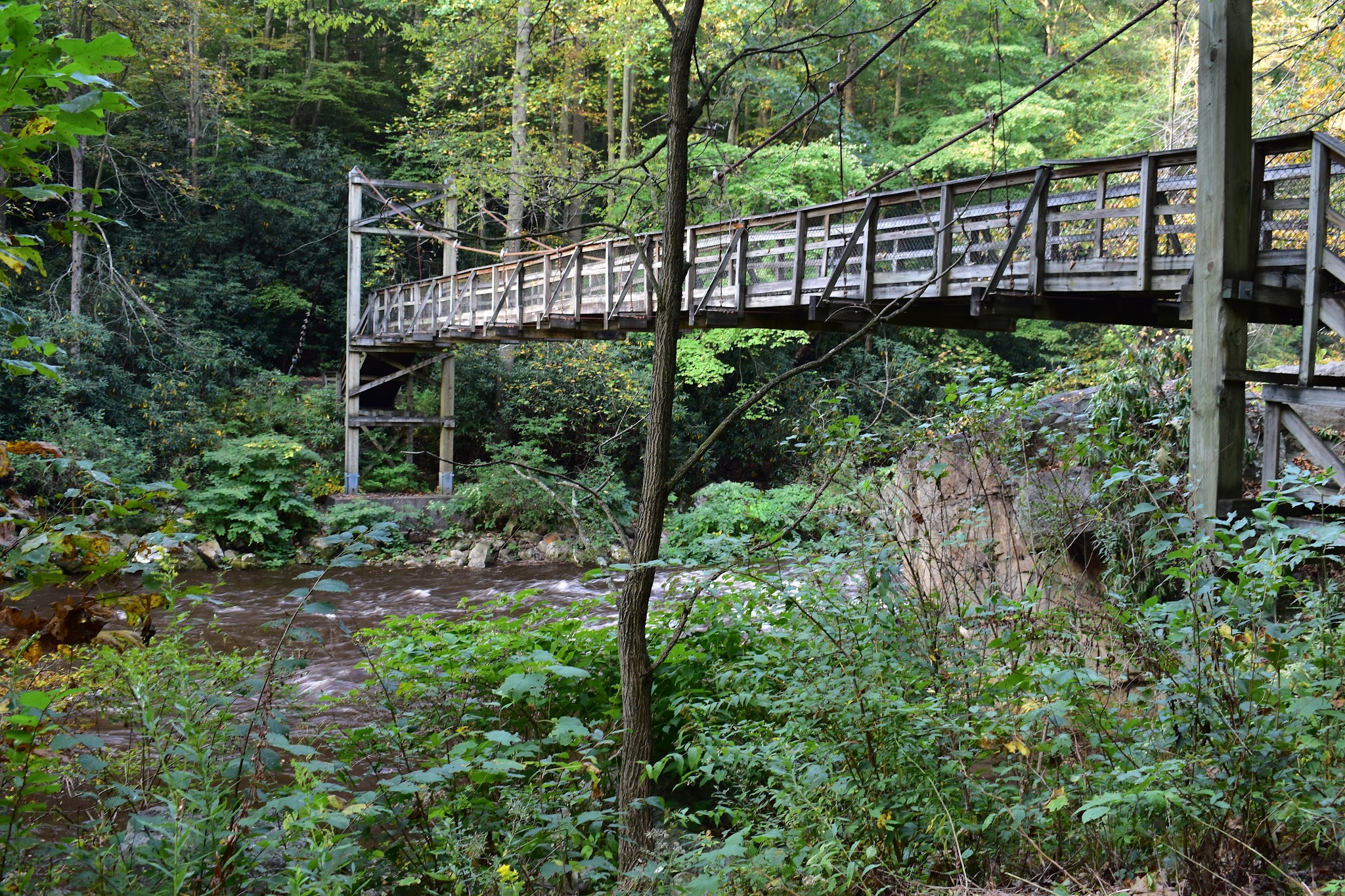 Savage River State Forest