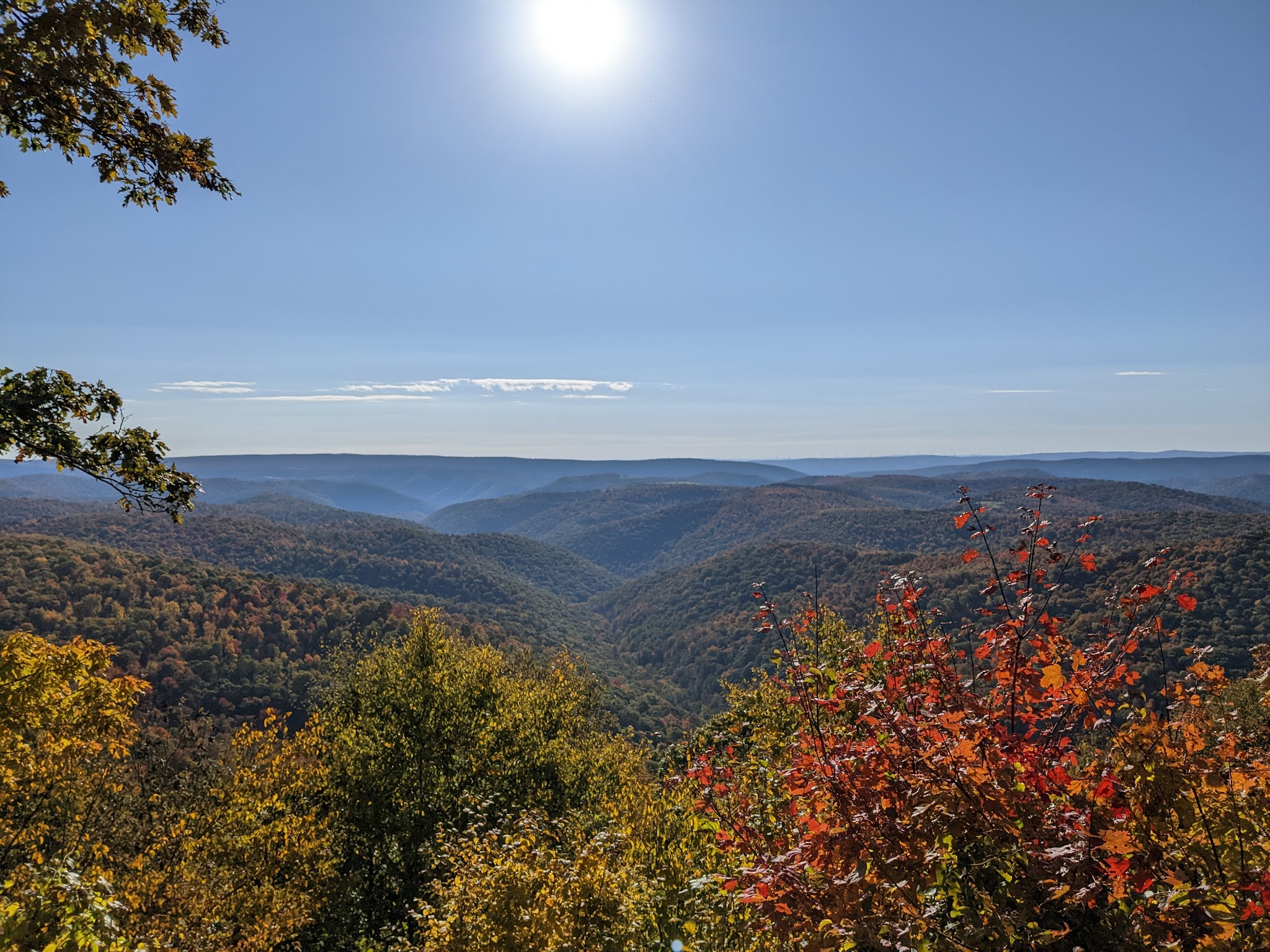 Savage River State Forest