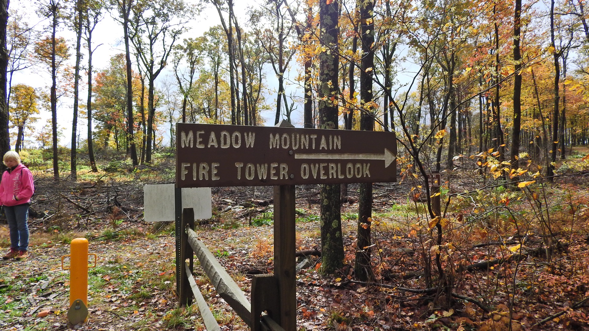 Savage River State Forest