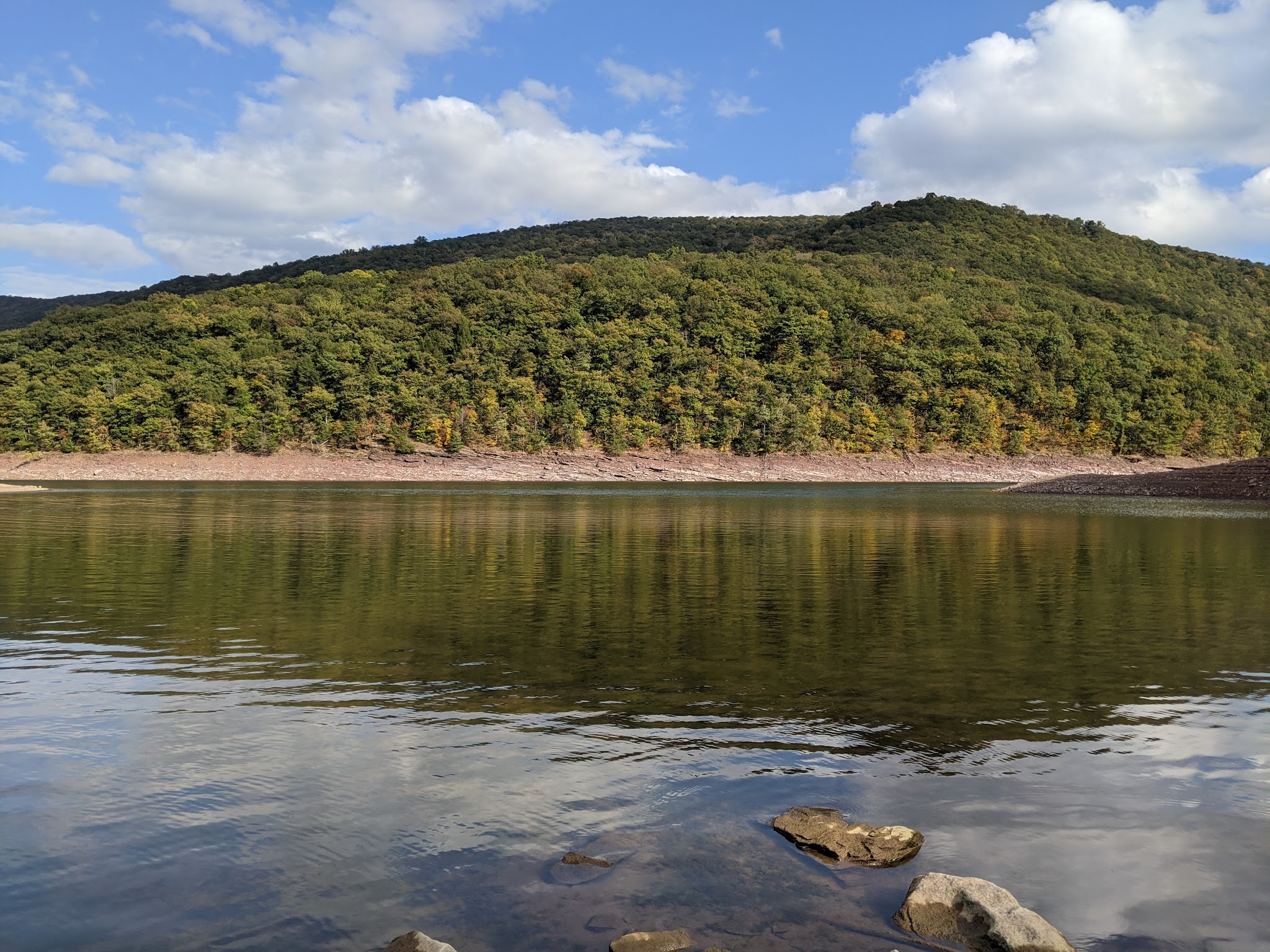 Savage River State Forest