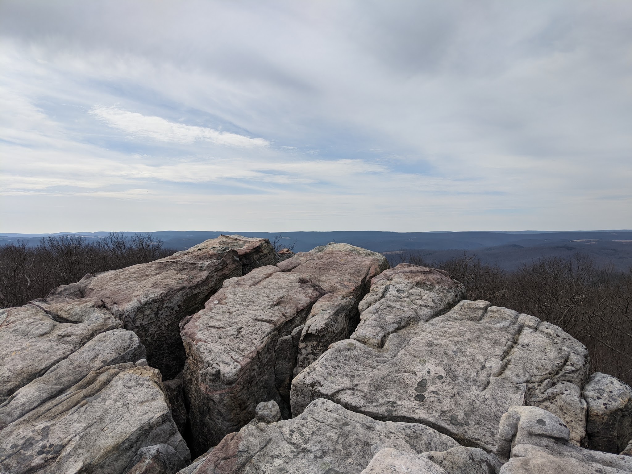 Savage River State Forest