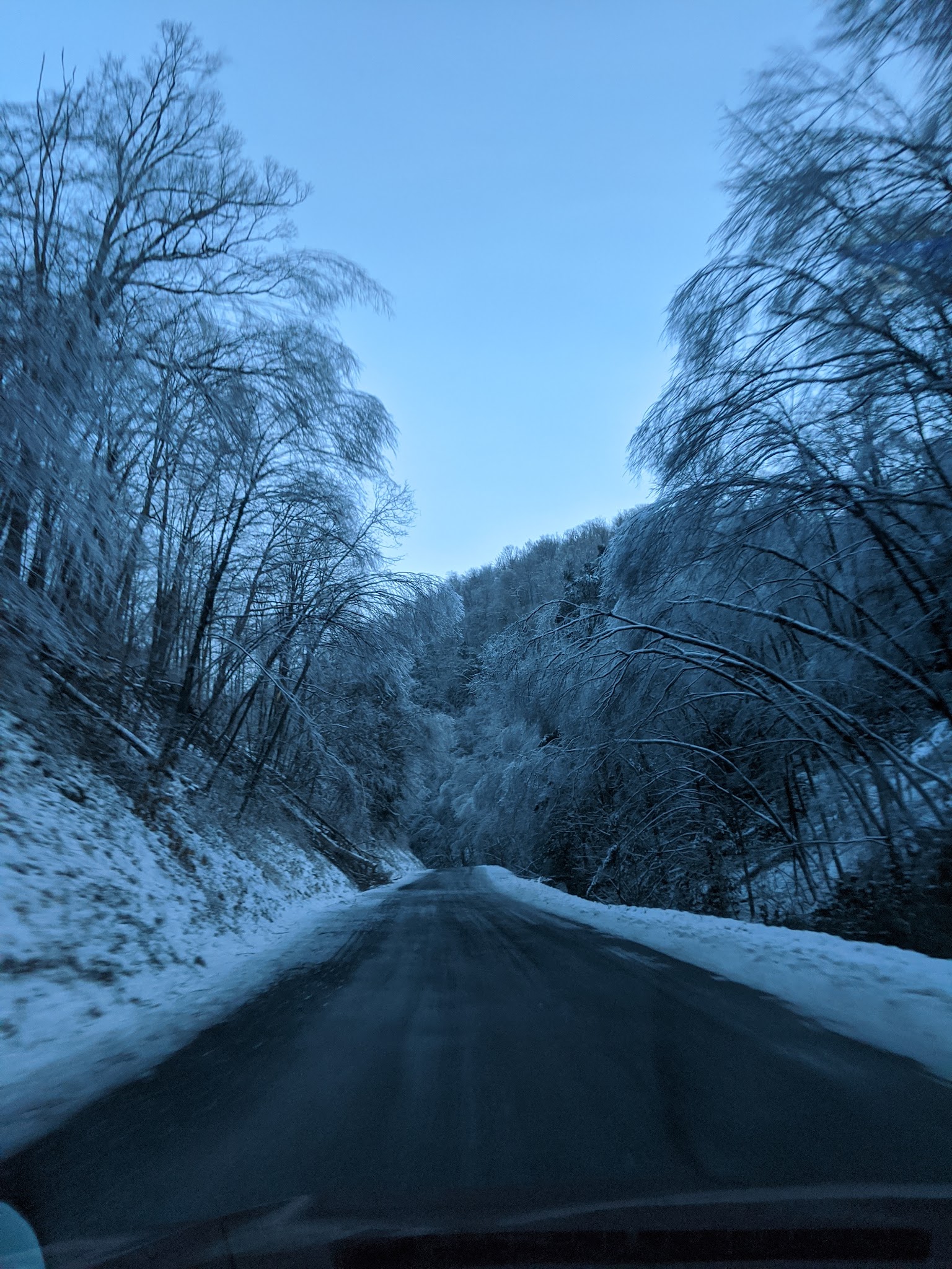 Savage River State Forest