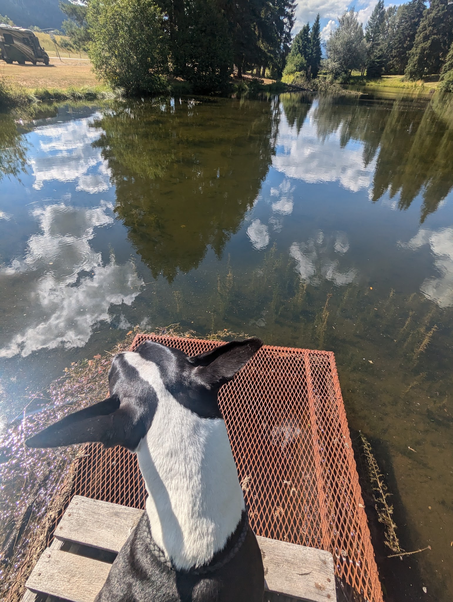 Savenac West Cottage