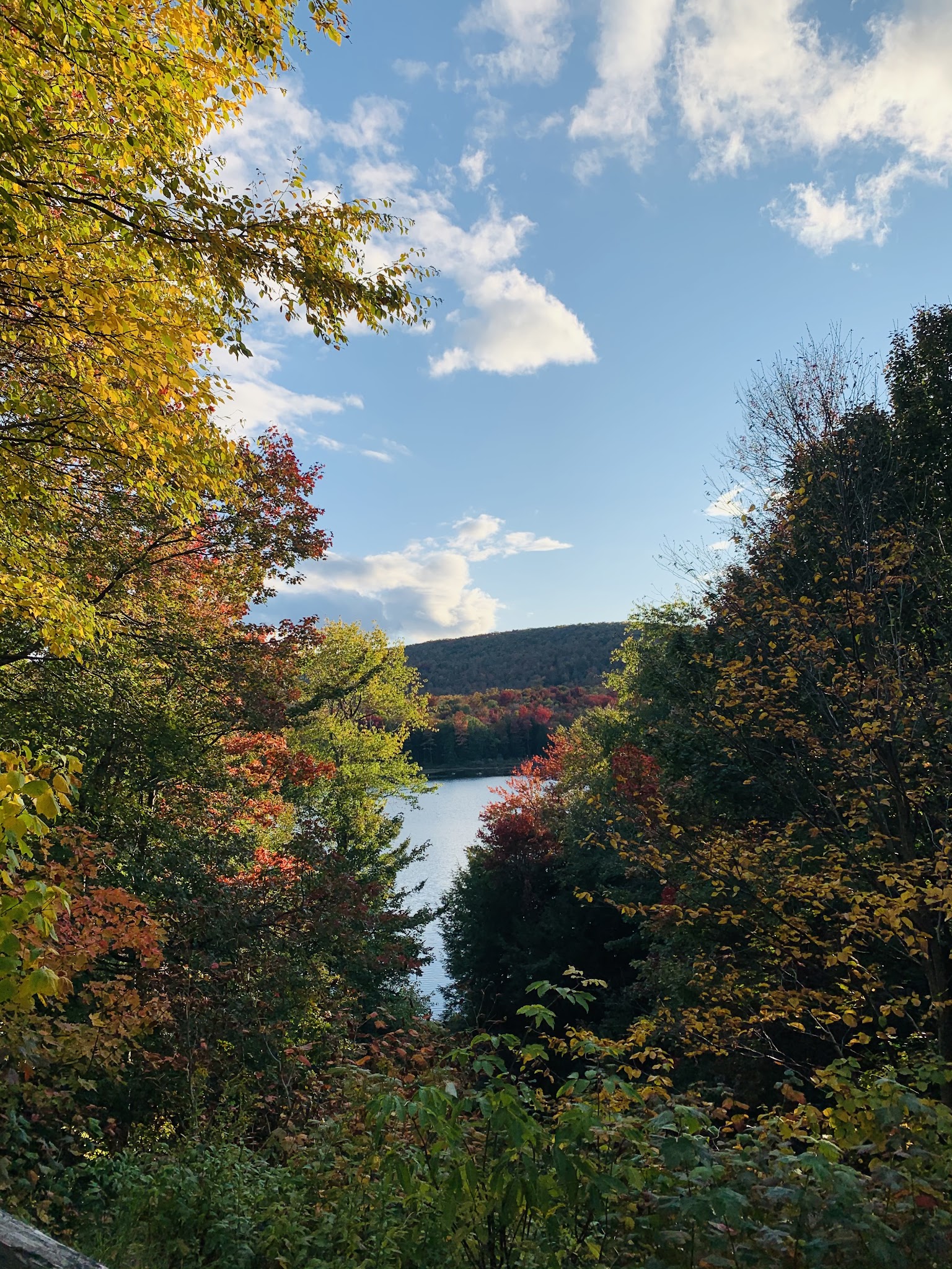 Savoy Mountain State Forest