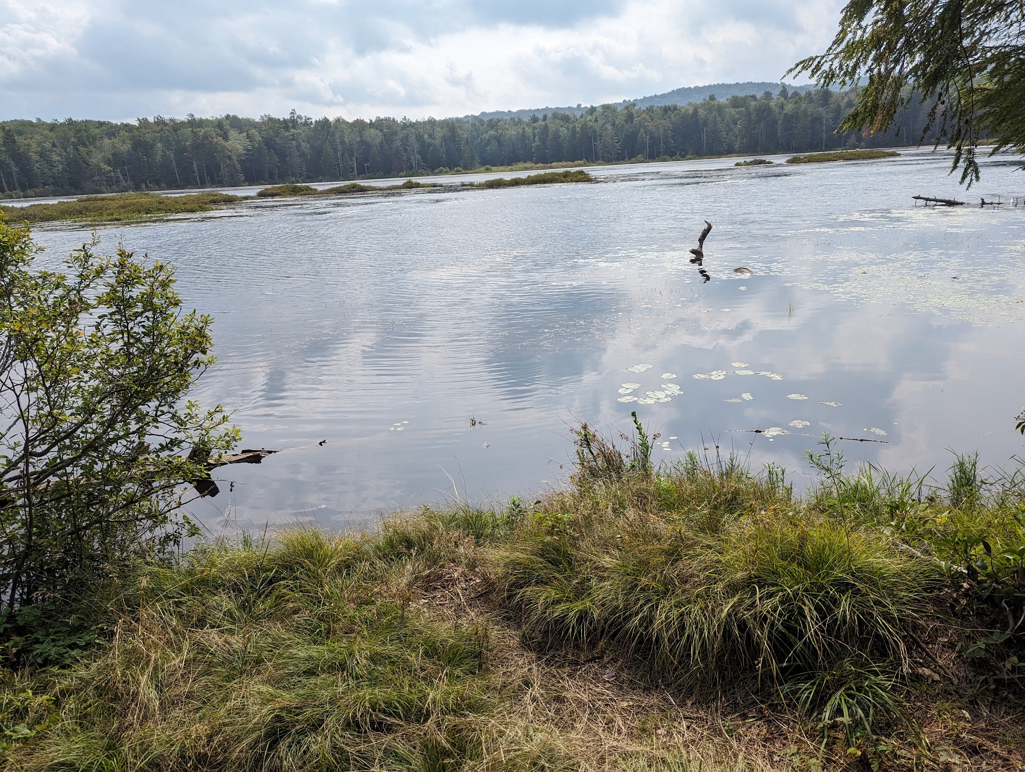 Savoy Mountain State Forest