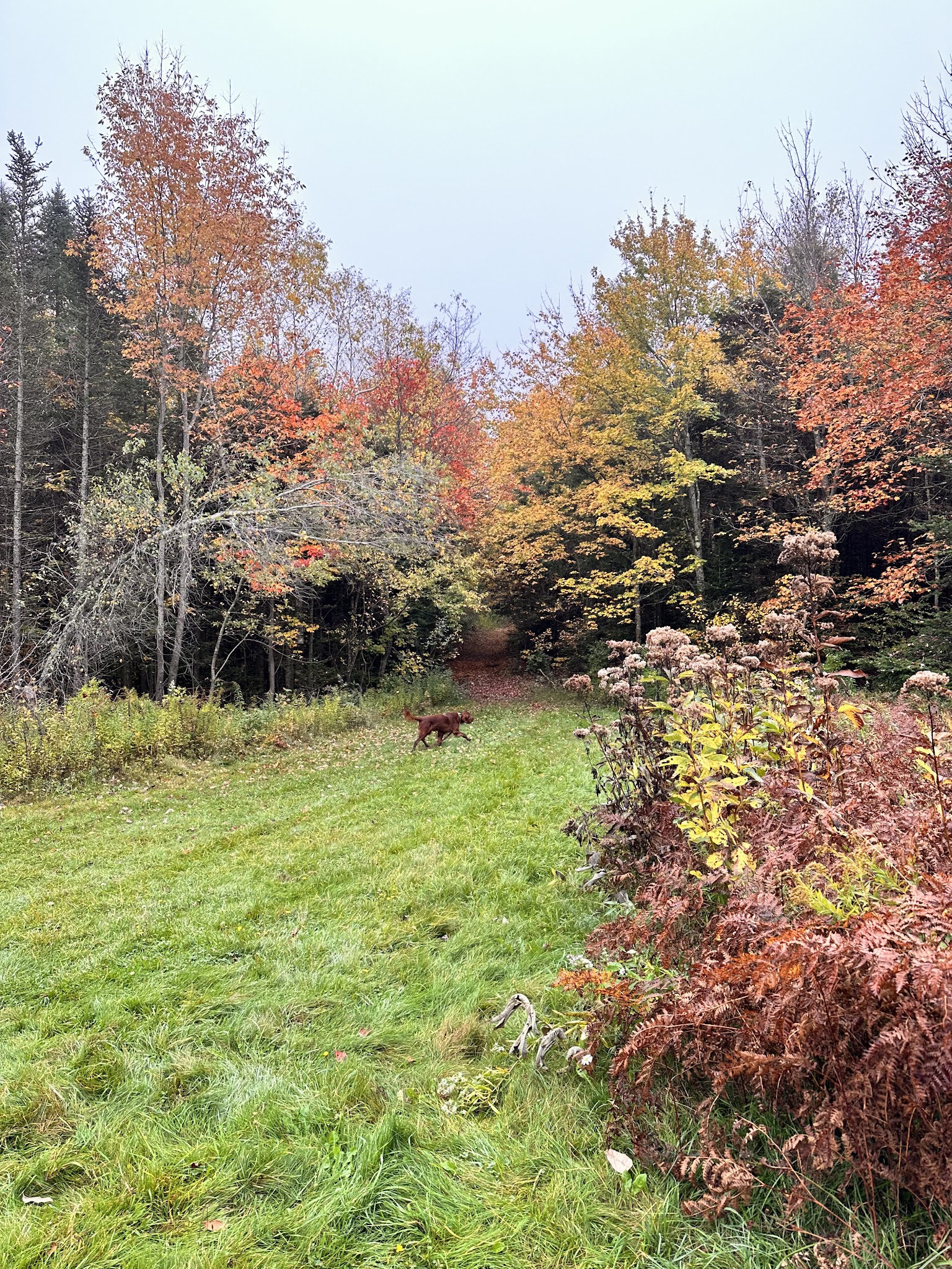 Savoy Mountain State Forest