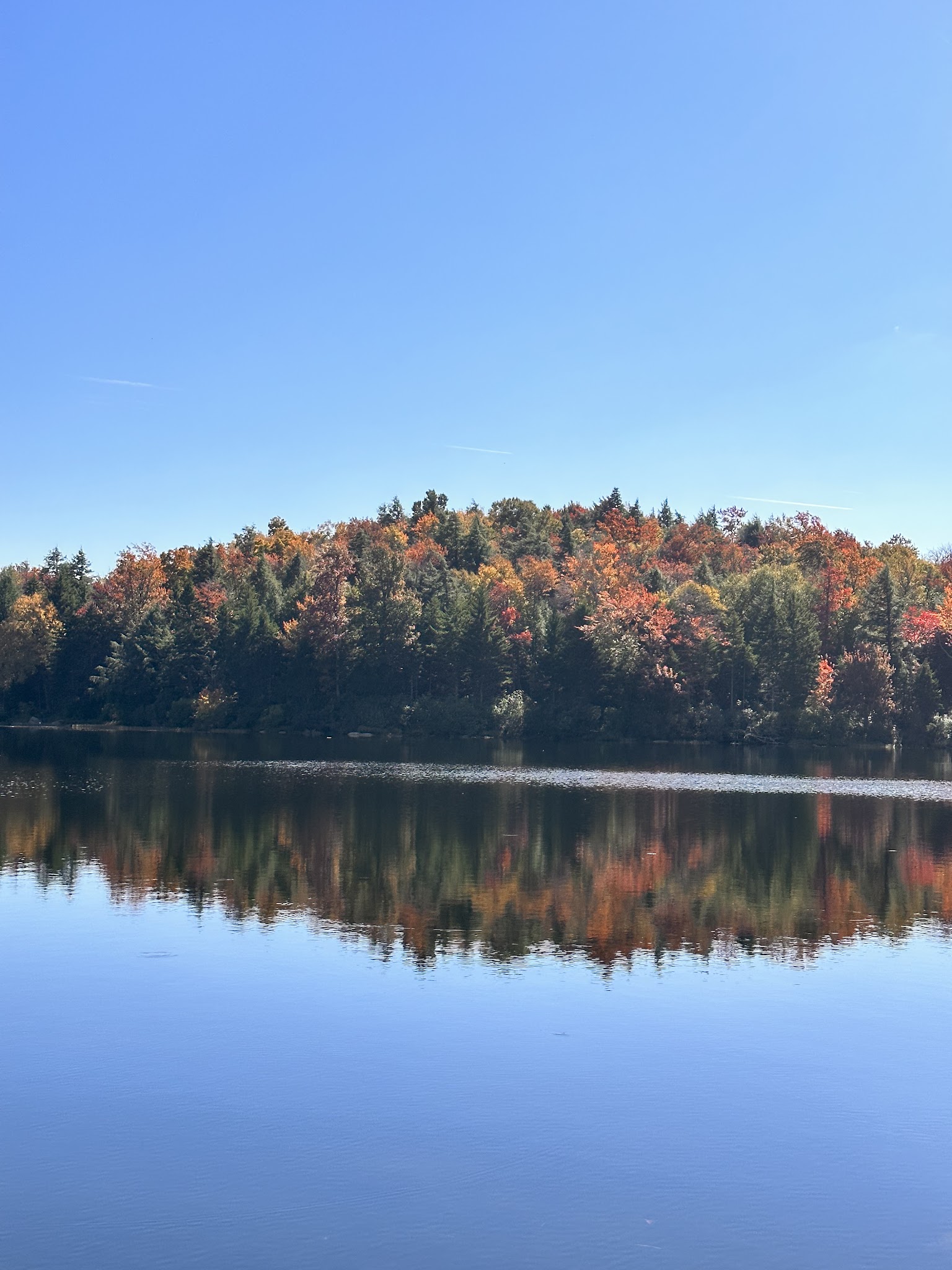 Savoy Mountain State Forest