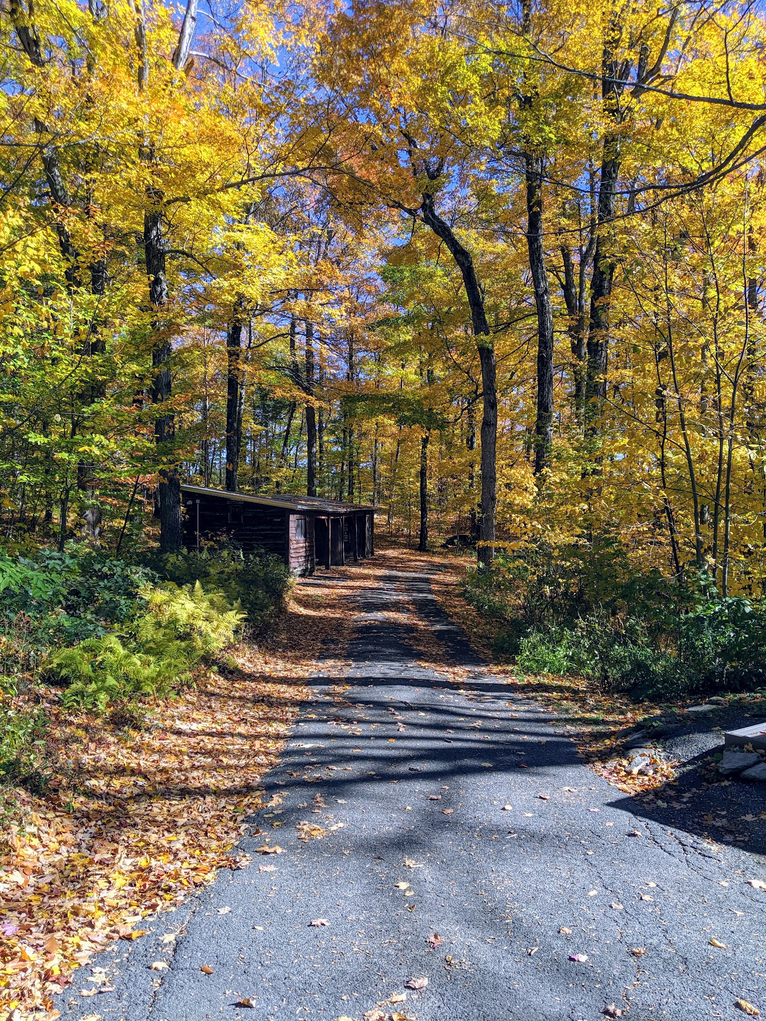 Savoy Mountain State Forest