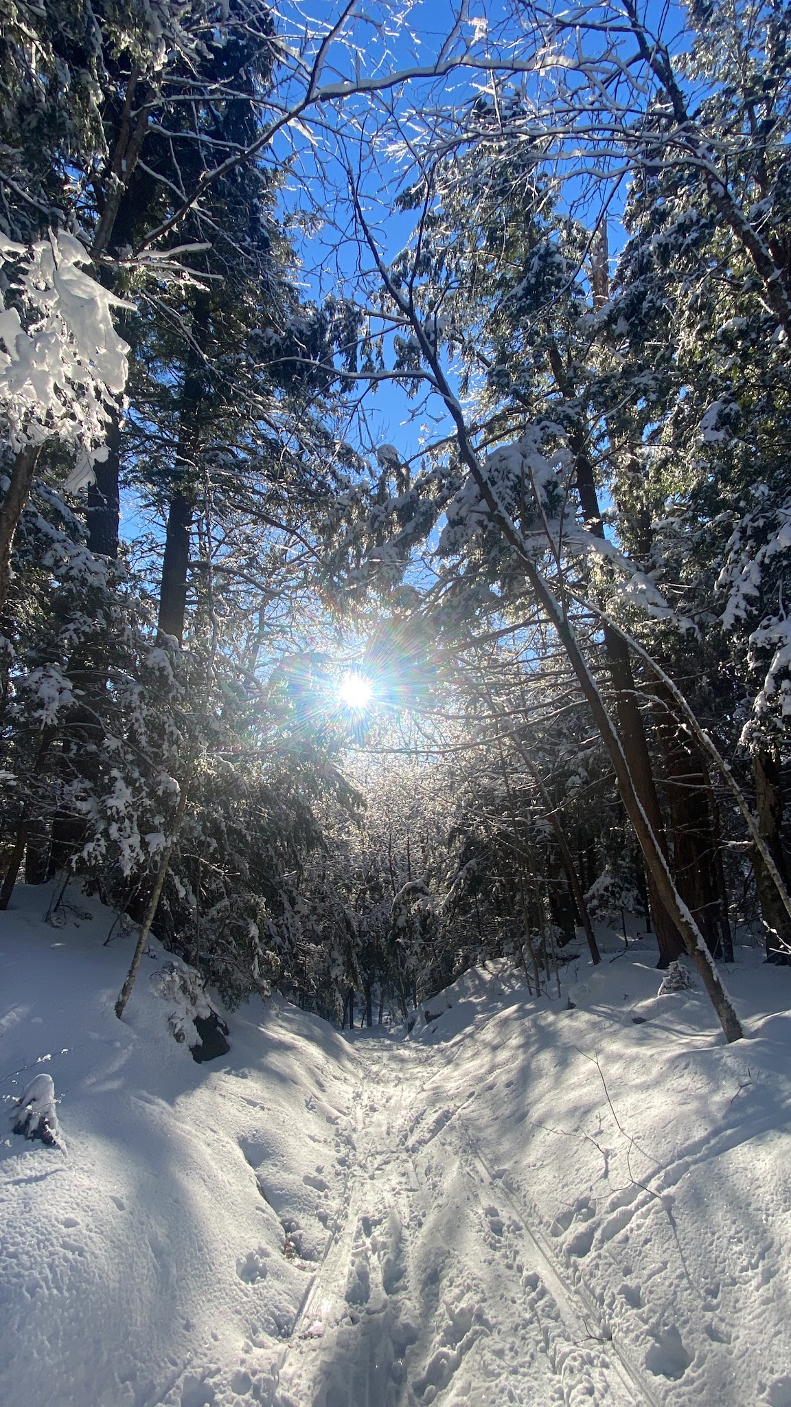 Savoy Mountain State Forest