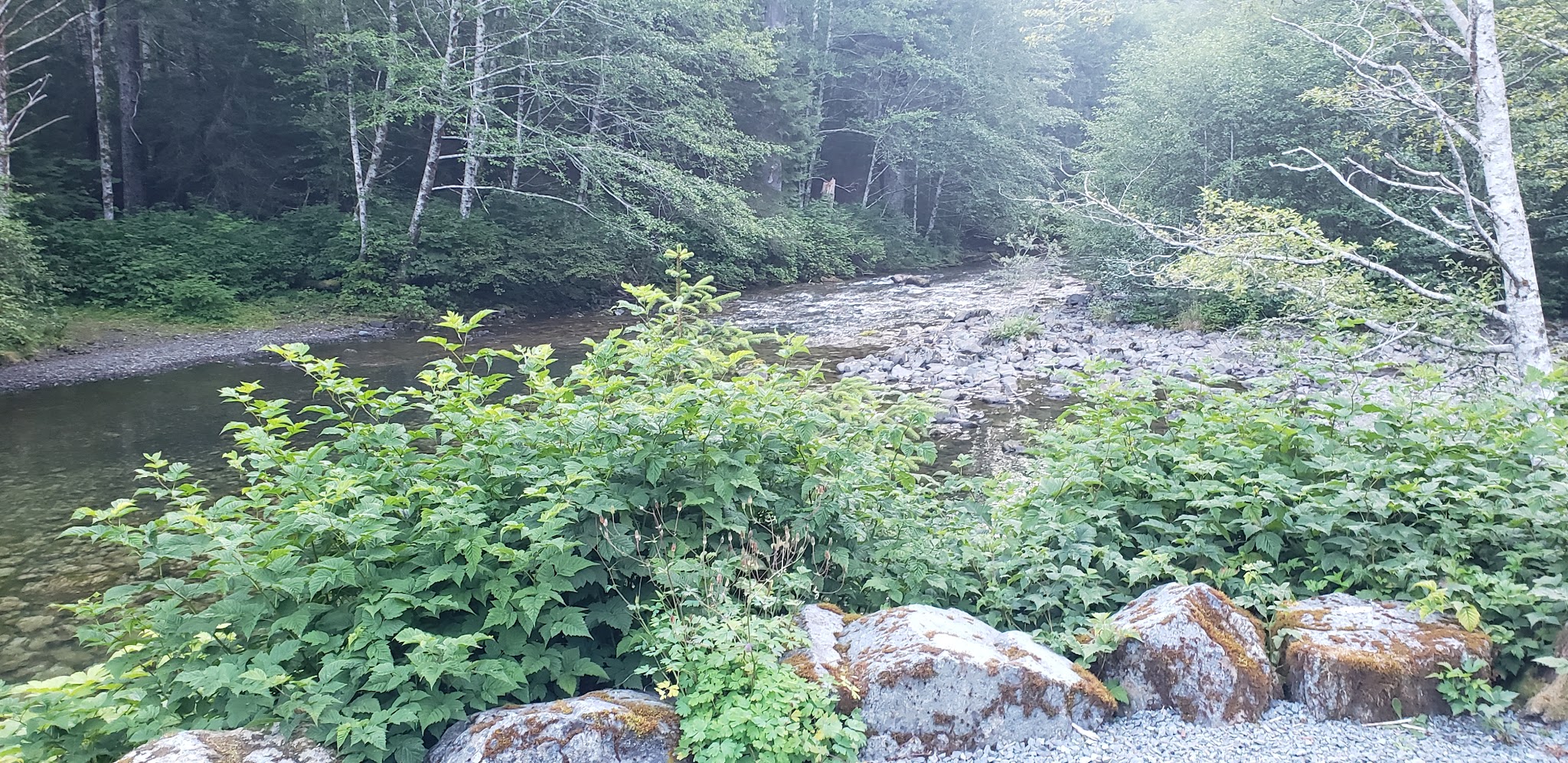 Sawmill Creek Campground