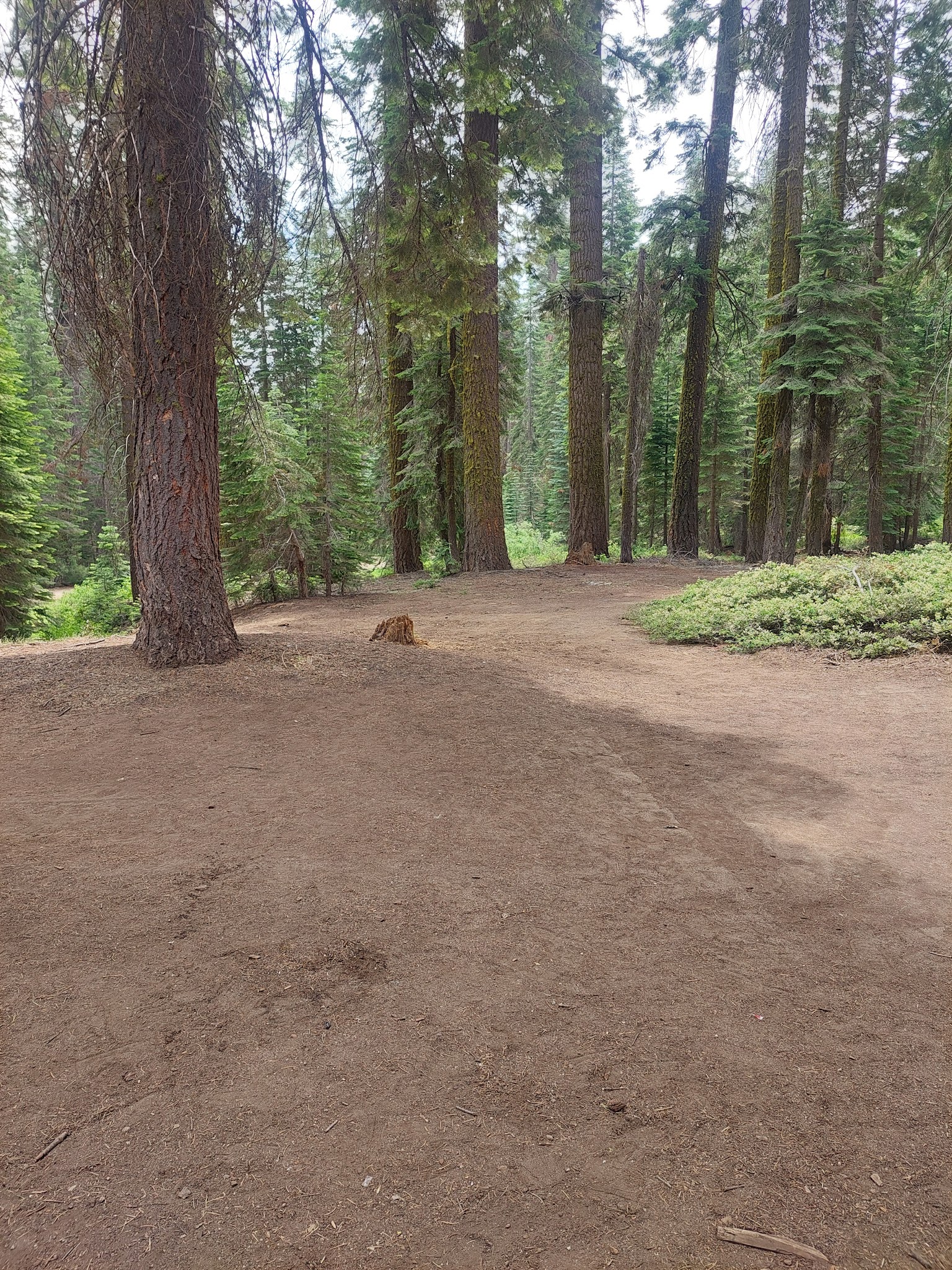 Sawmill Flat Campground