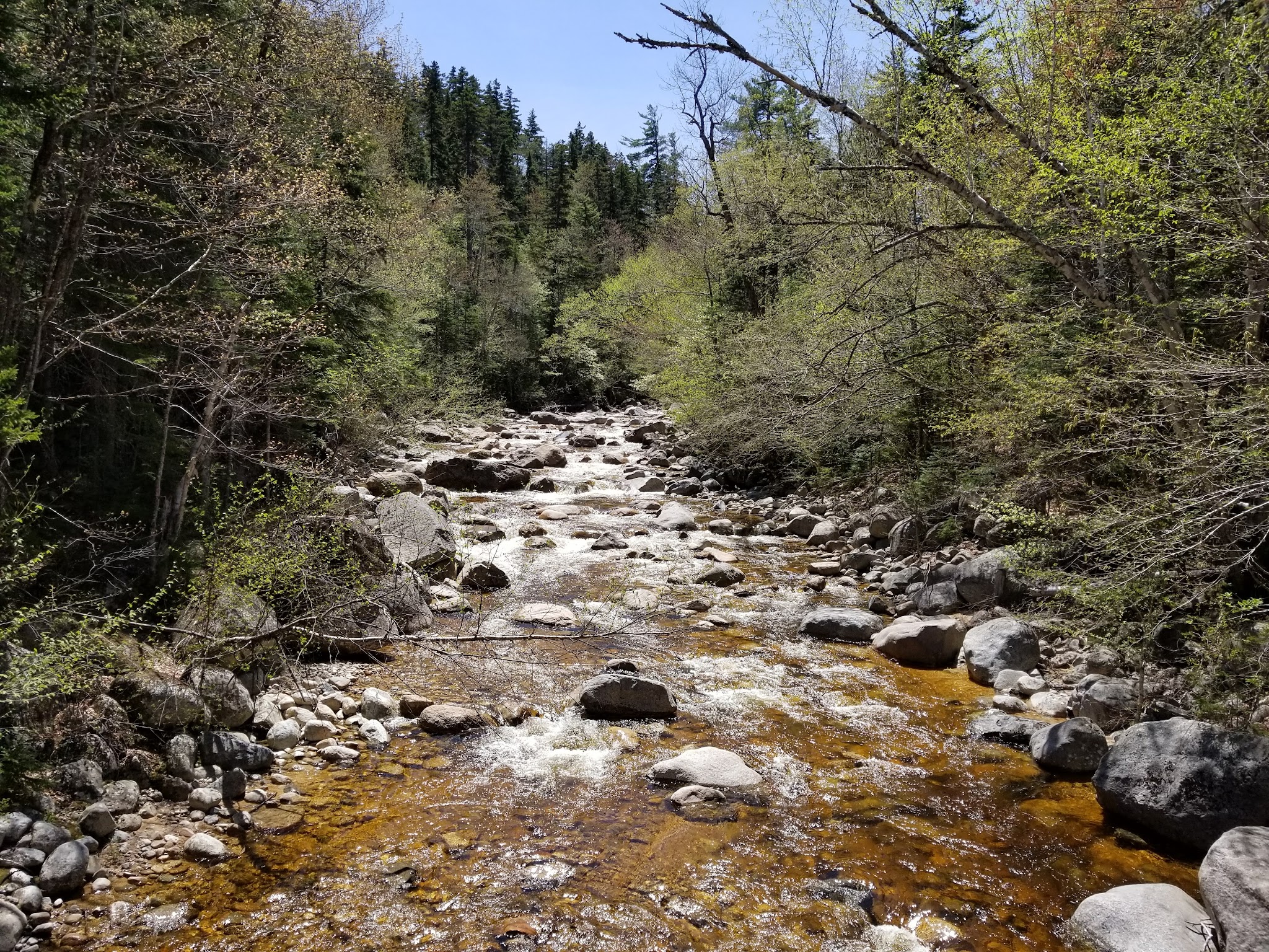 Sawyer Pond Shelter & Tentsite