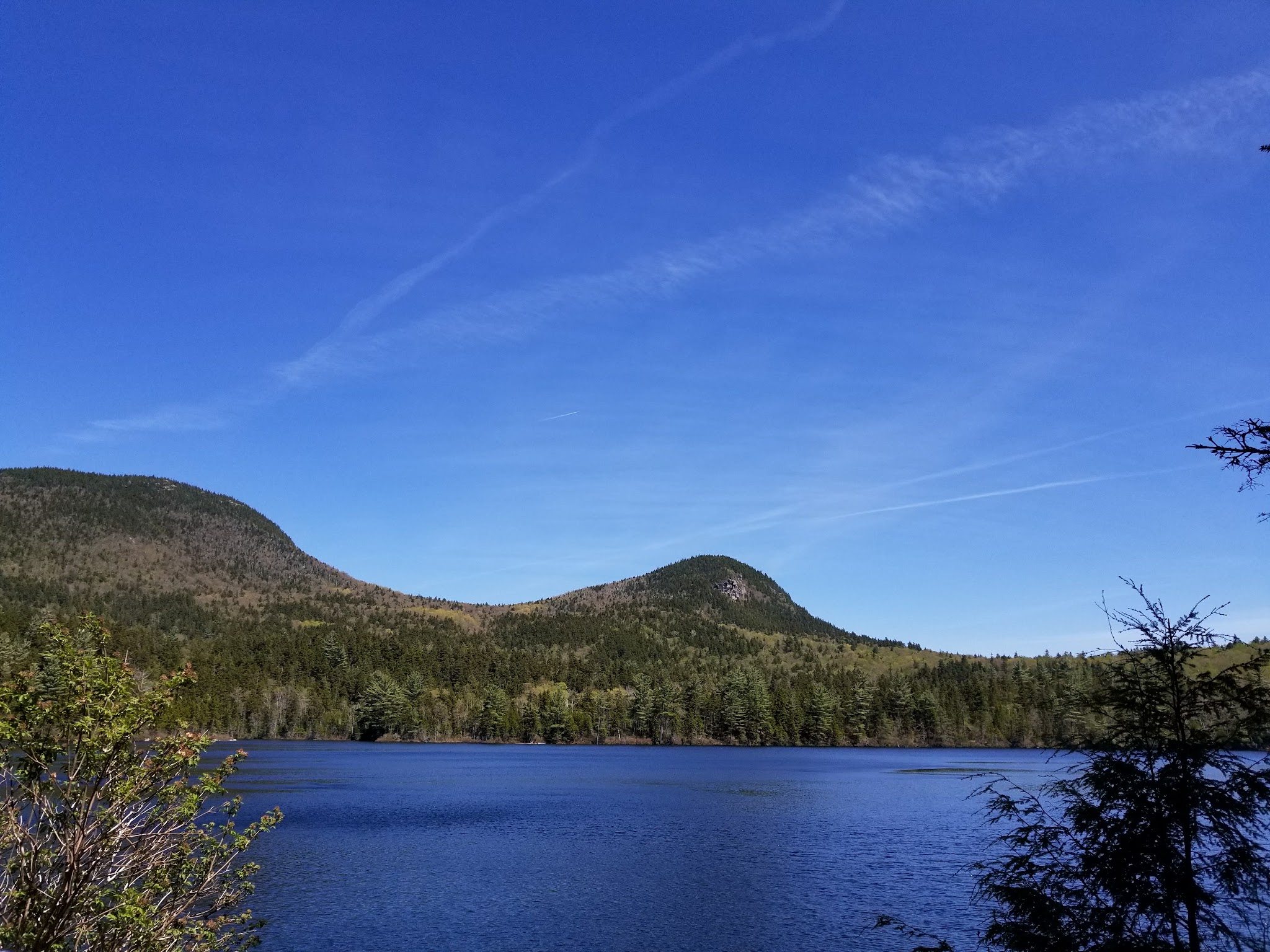 Sawyer Pond Shelter & Tentsite