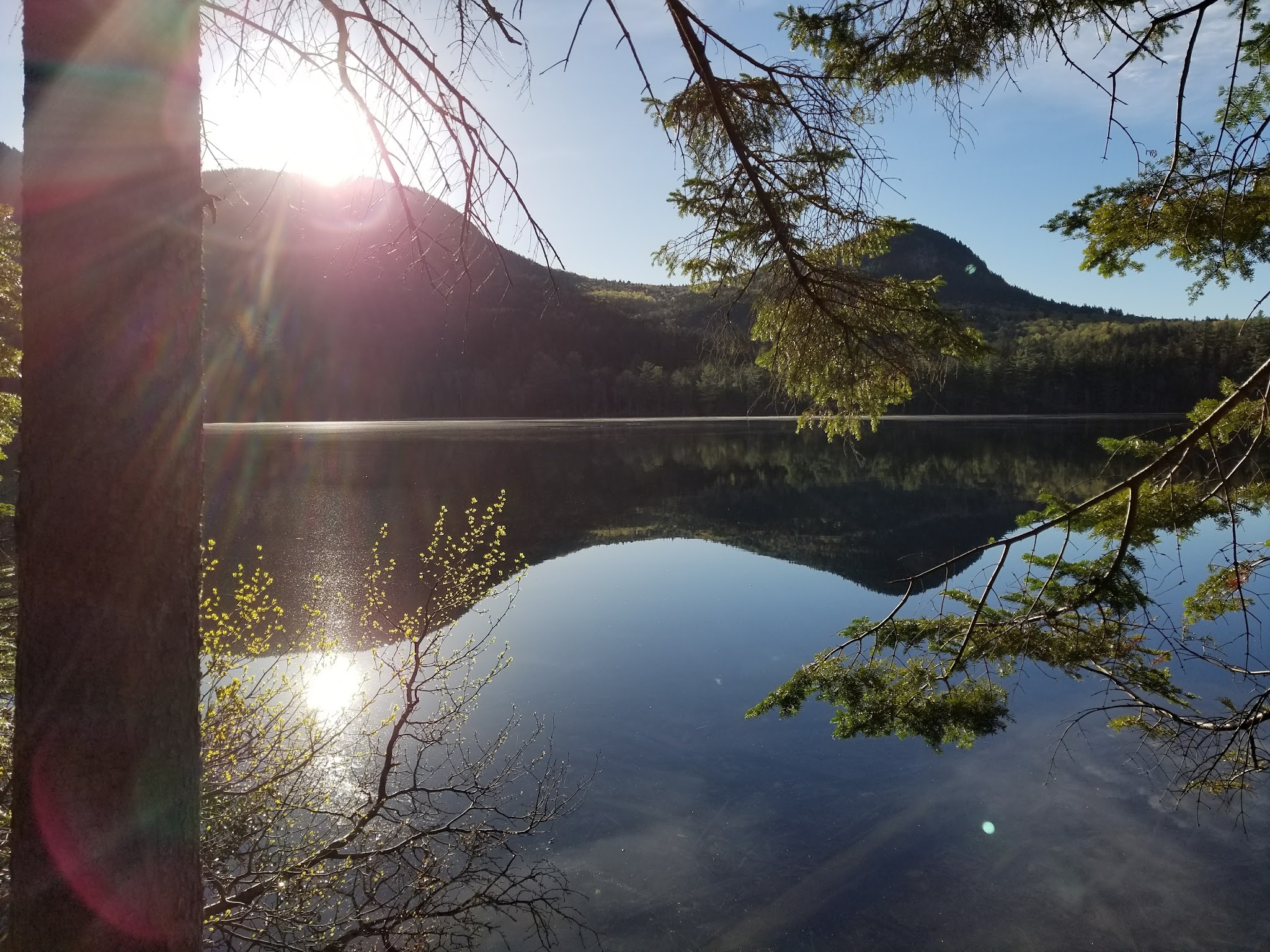 Sawyer Pond Shelter & Tentsite