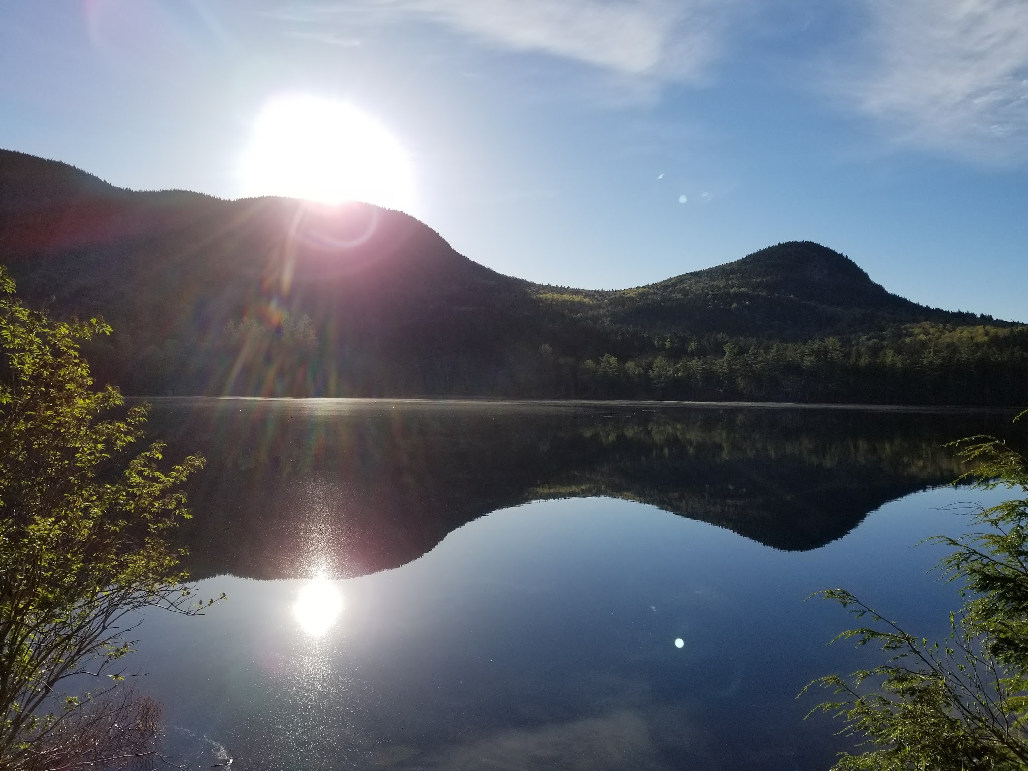 Sawyer Pond Shelter & Tentsite