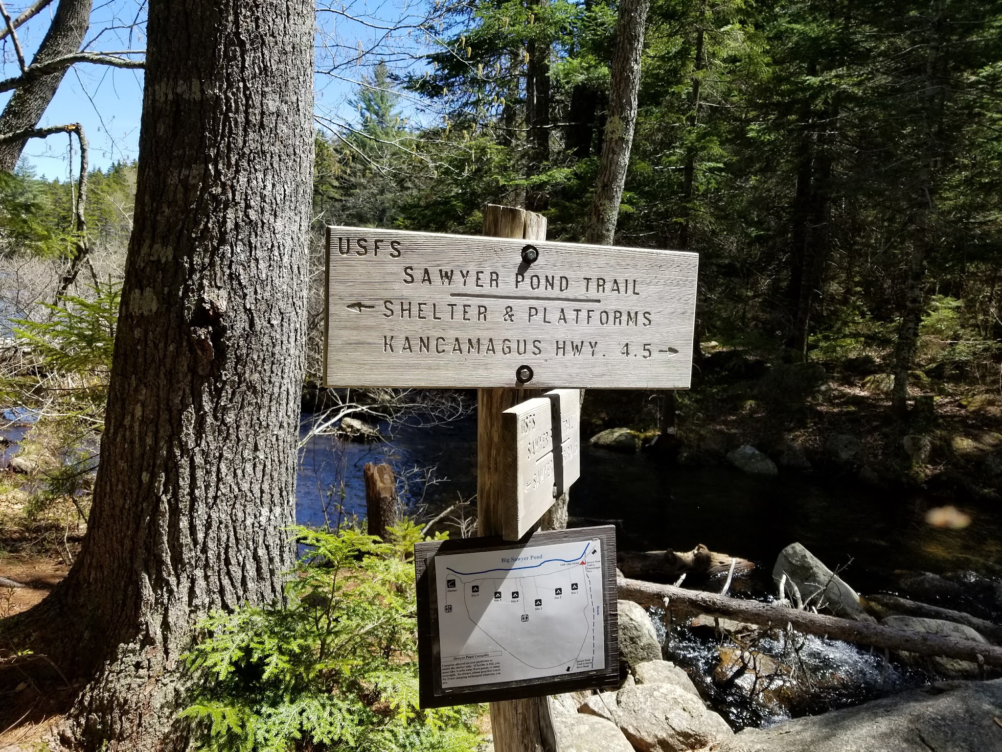 Sawyer Pond Shelter & Tentsite