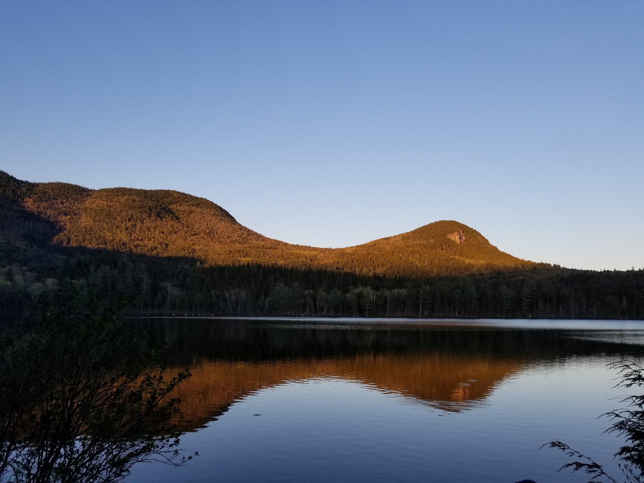 Sawyer Pond Shelter & Tentsite
