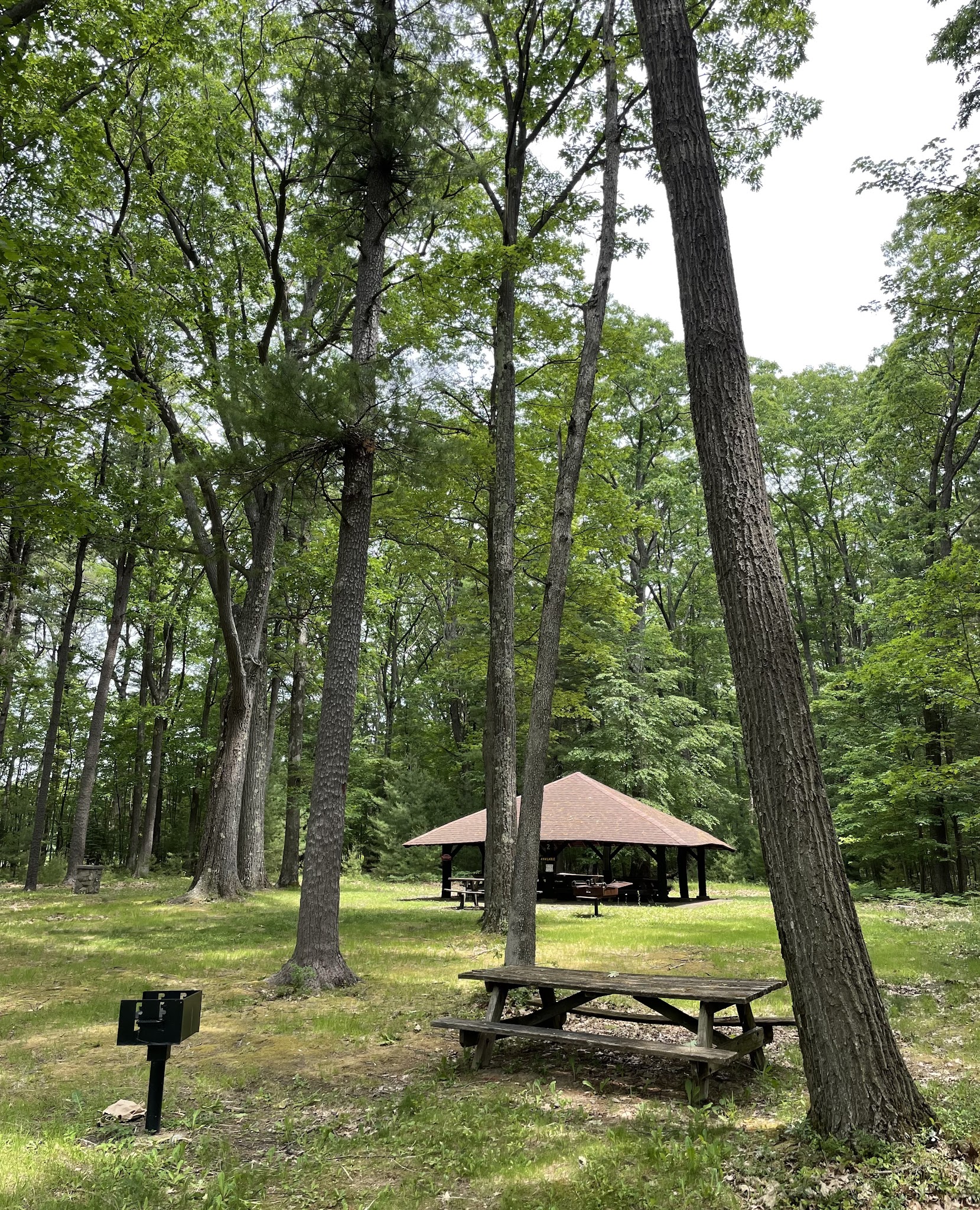 Simon B Elliott State Park