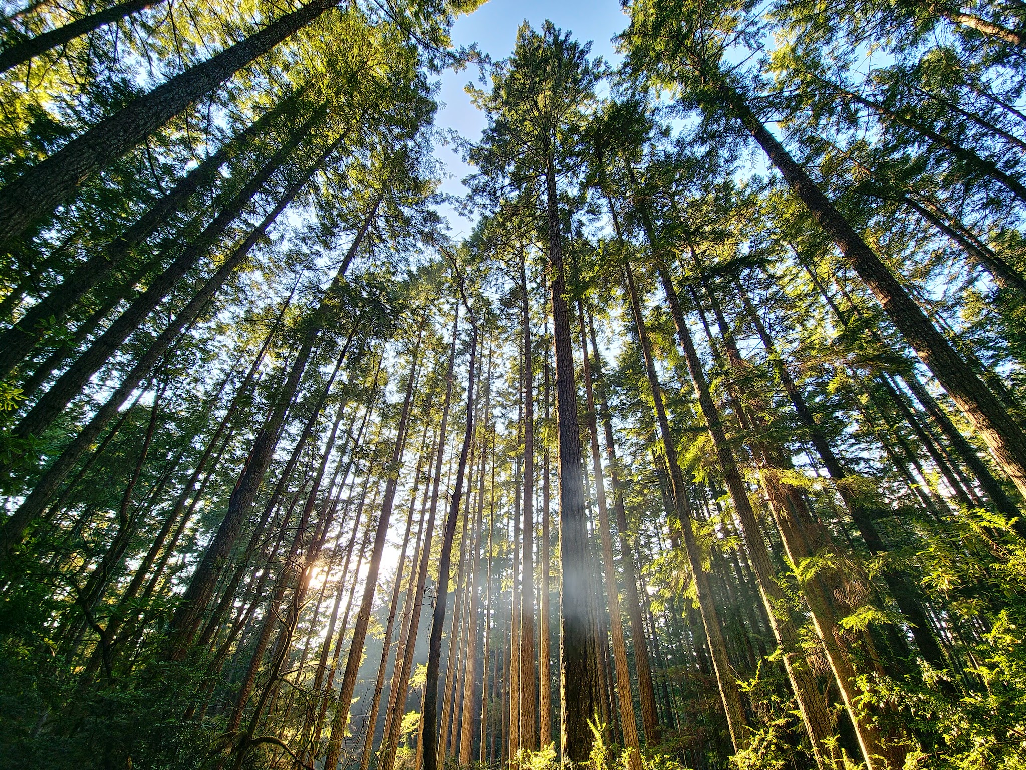 Scenic Beach State Park