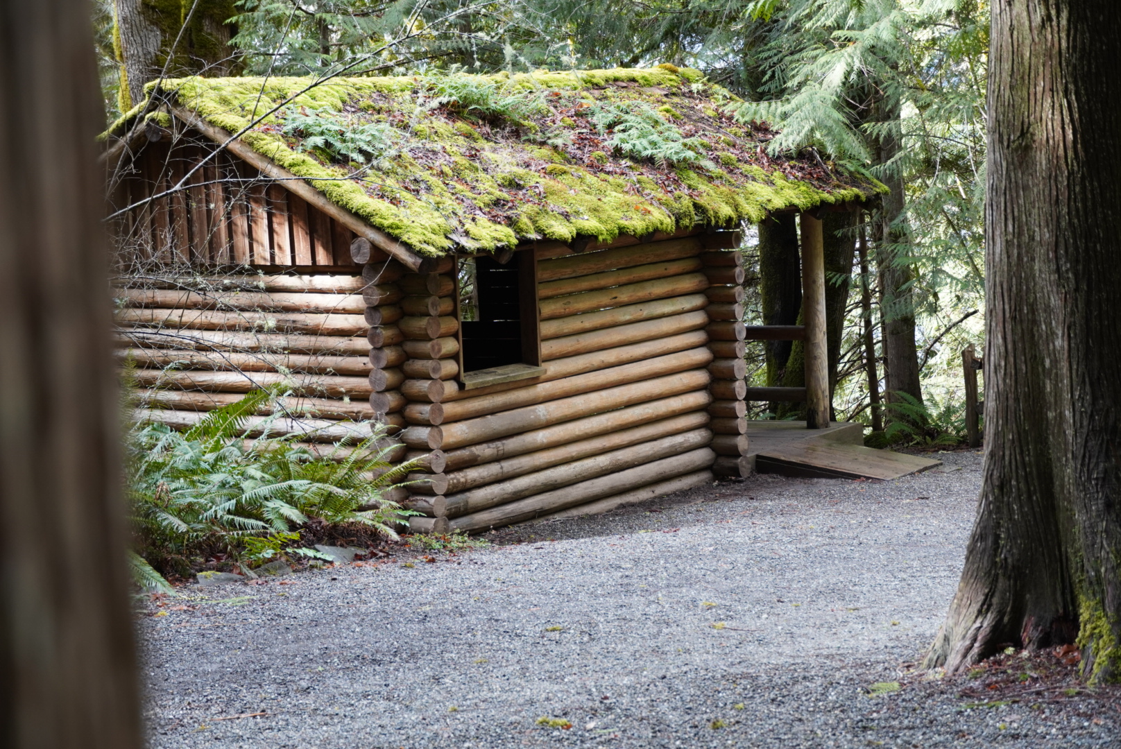 Scenic Beach State Park