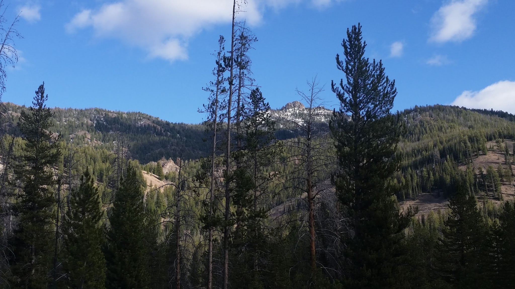 Eightmile Camping Area