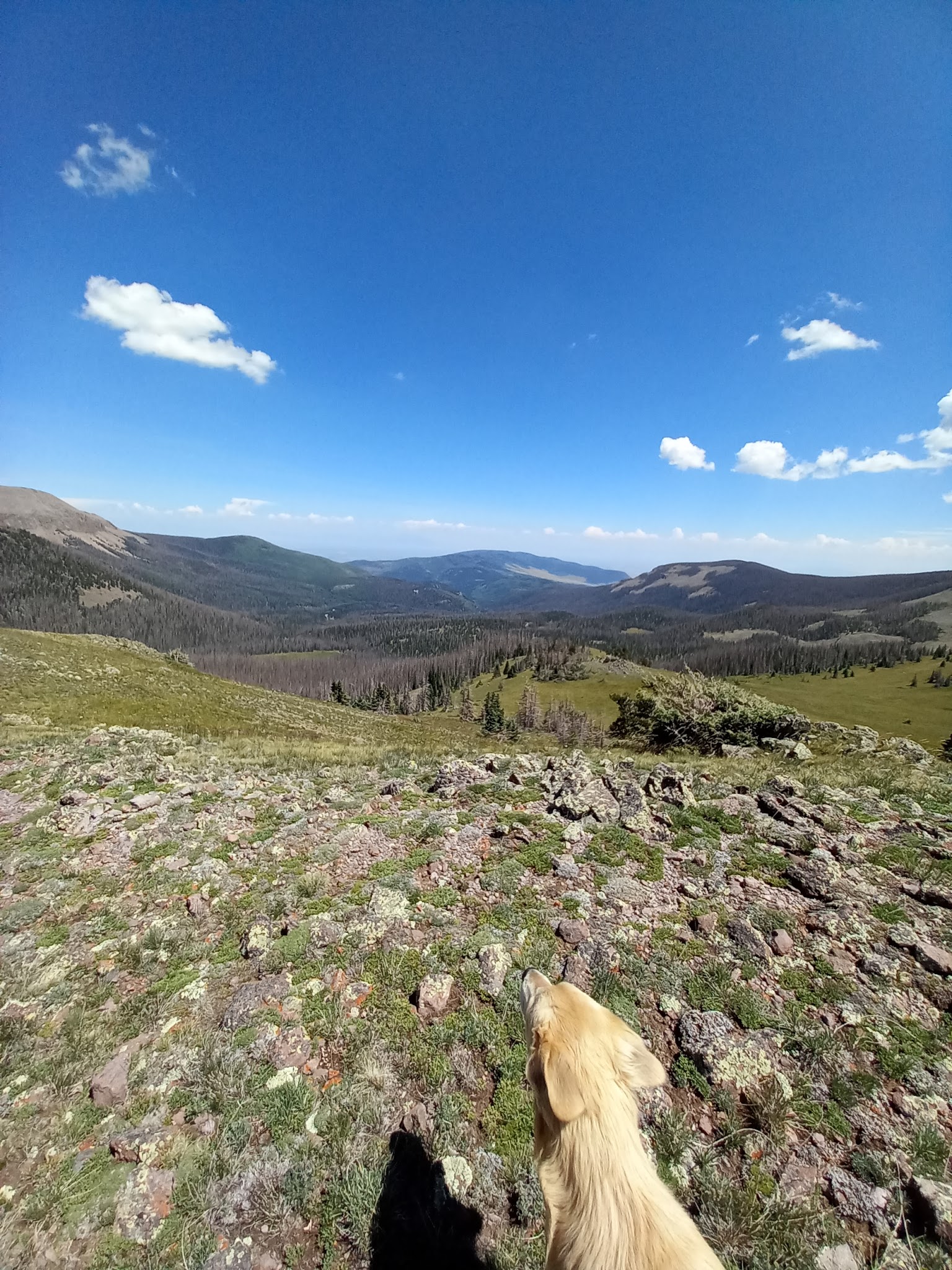 Rock Creek Recreation Area