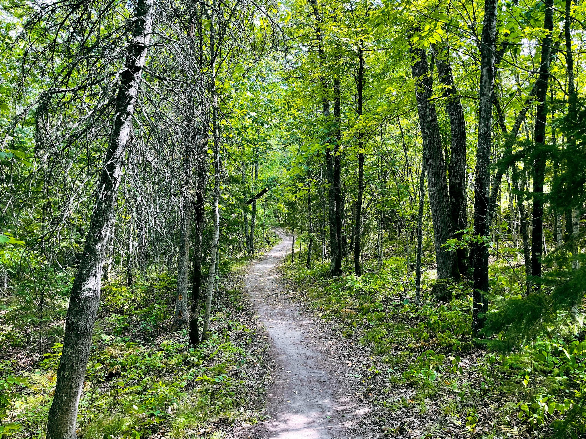 Remote Campsites Campground