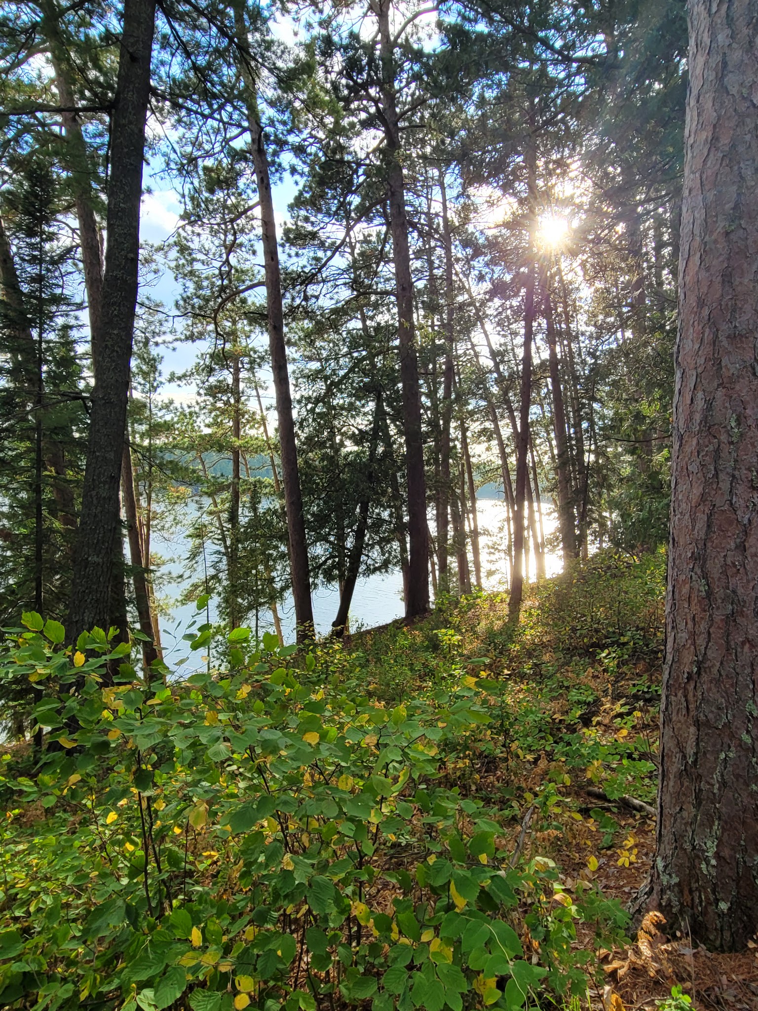 Remote Campsites Campground