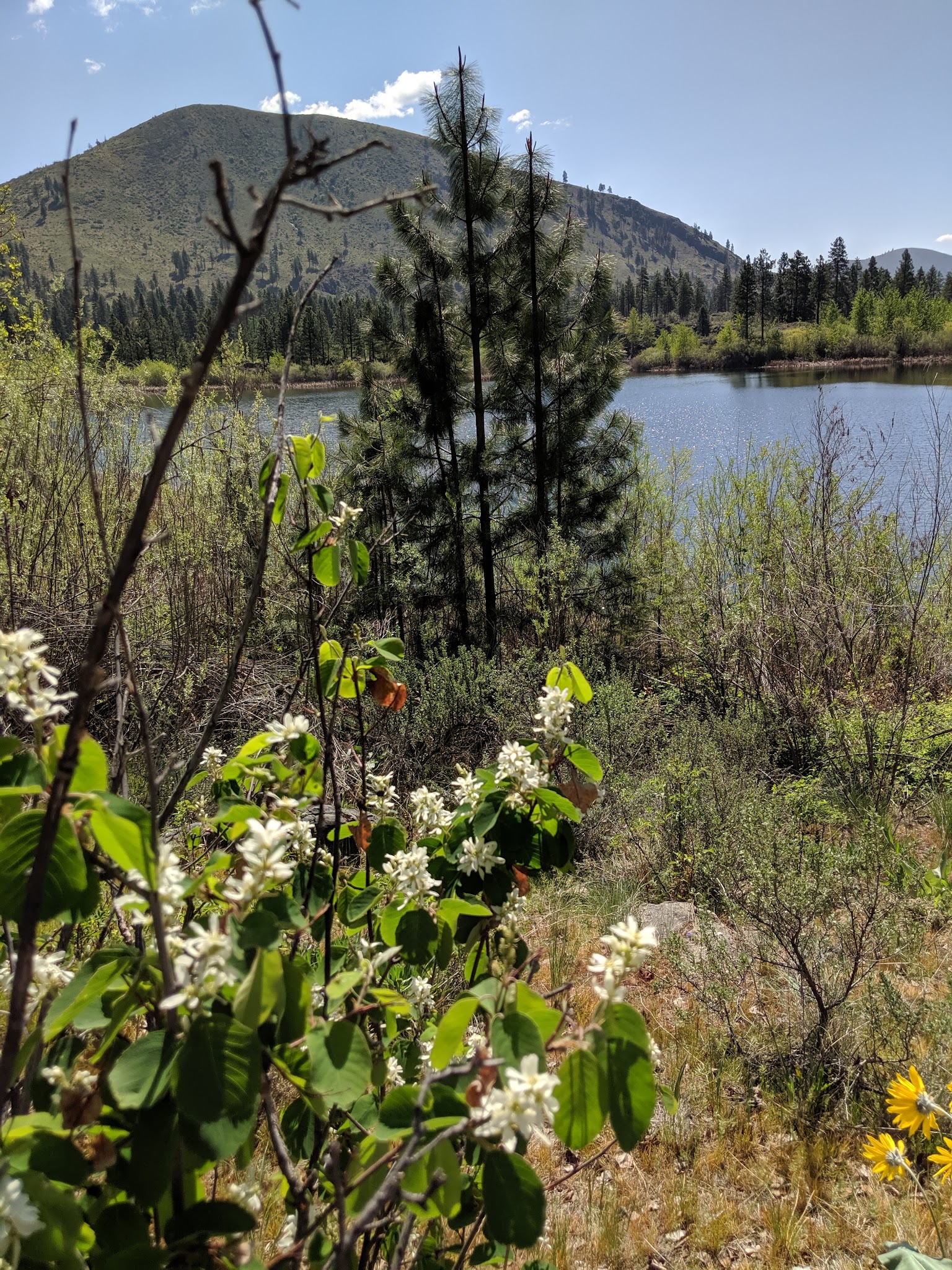 Antilon Lake Campground