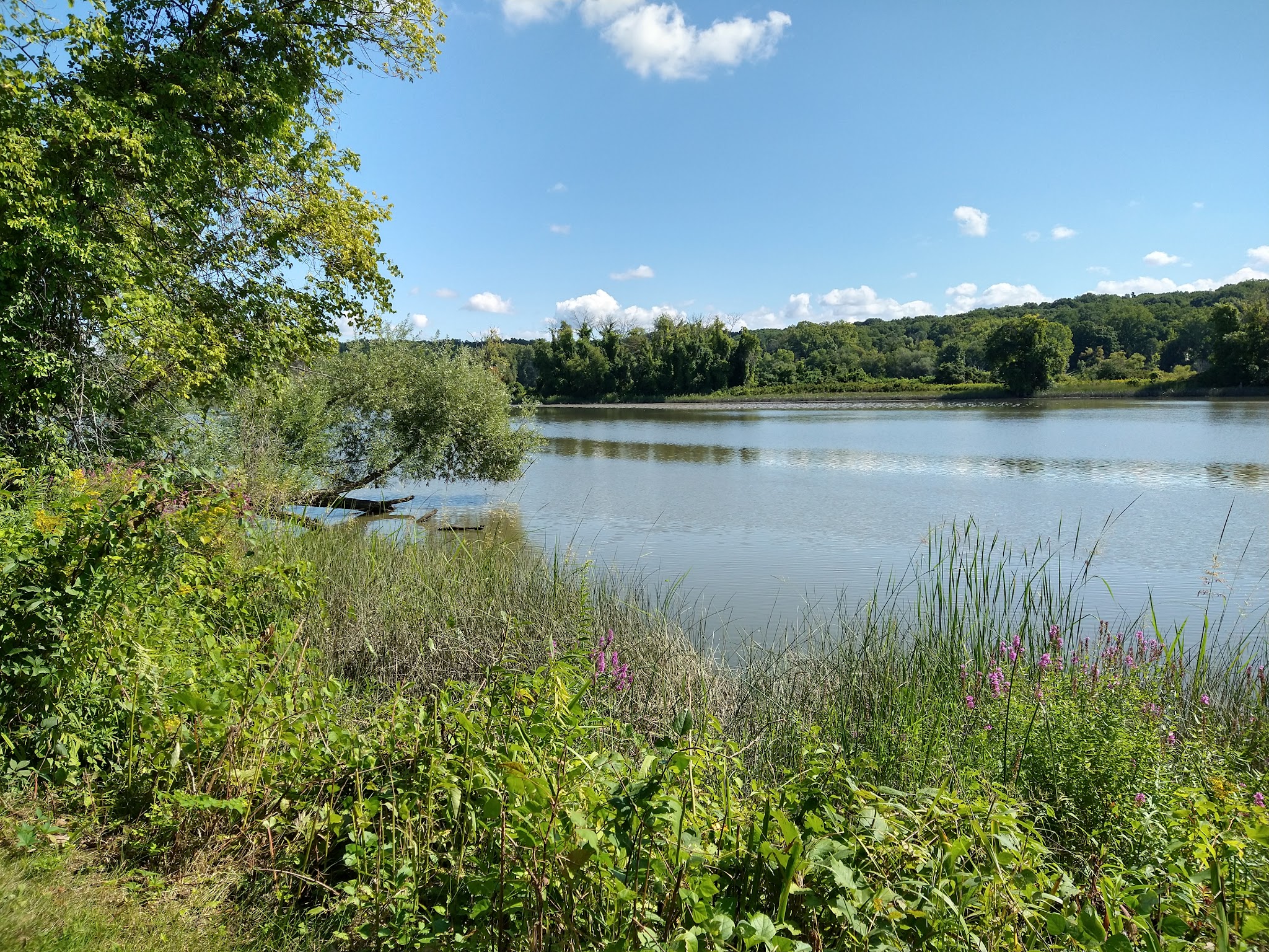 Schodack Island State Park
