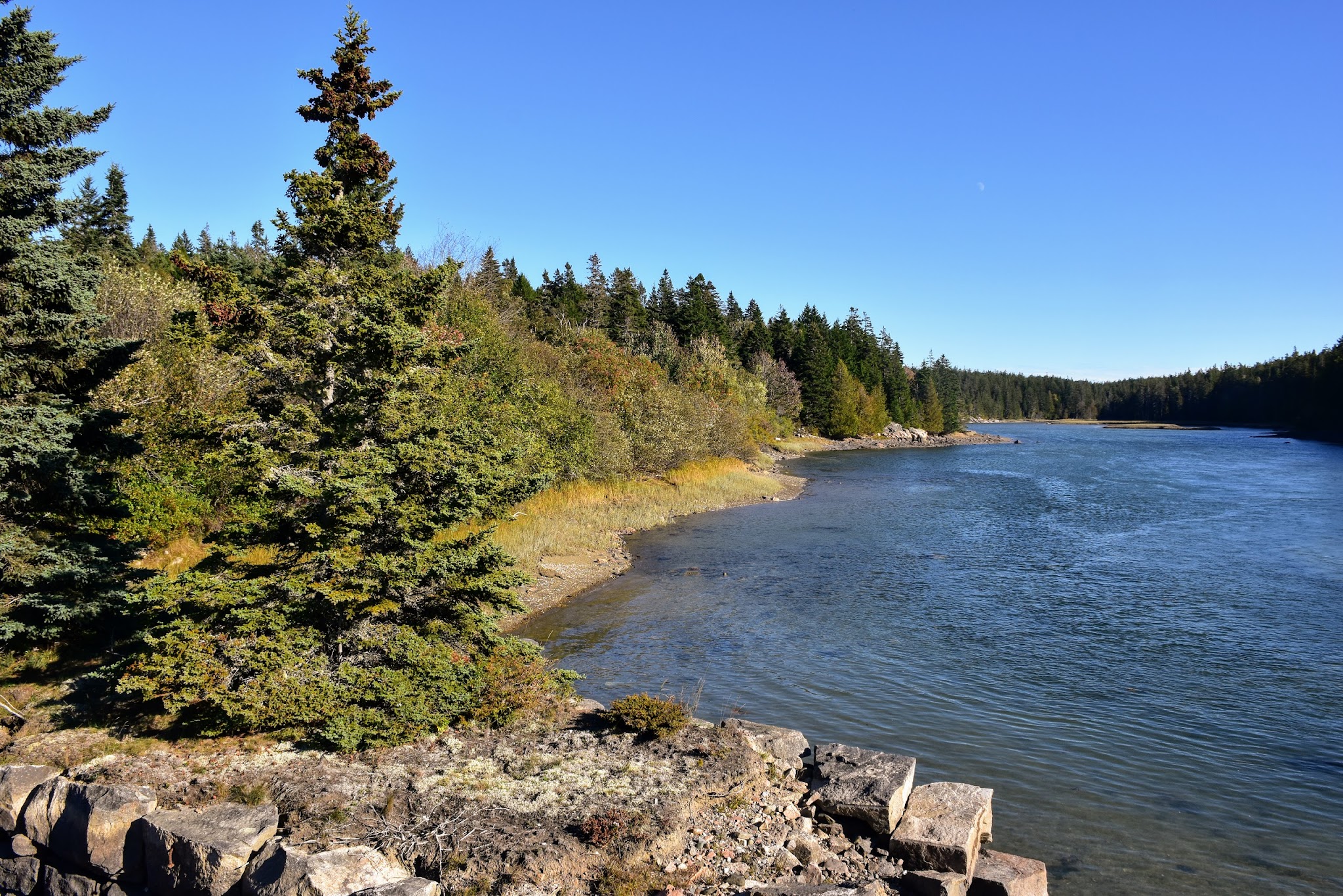 Schoodic Woods Campground