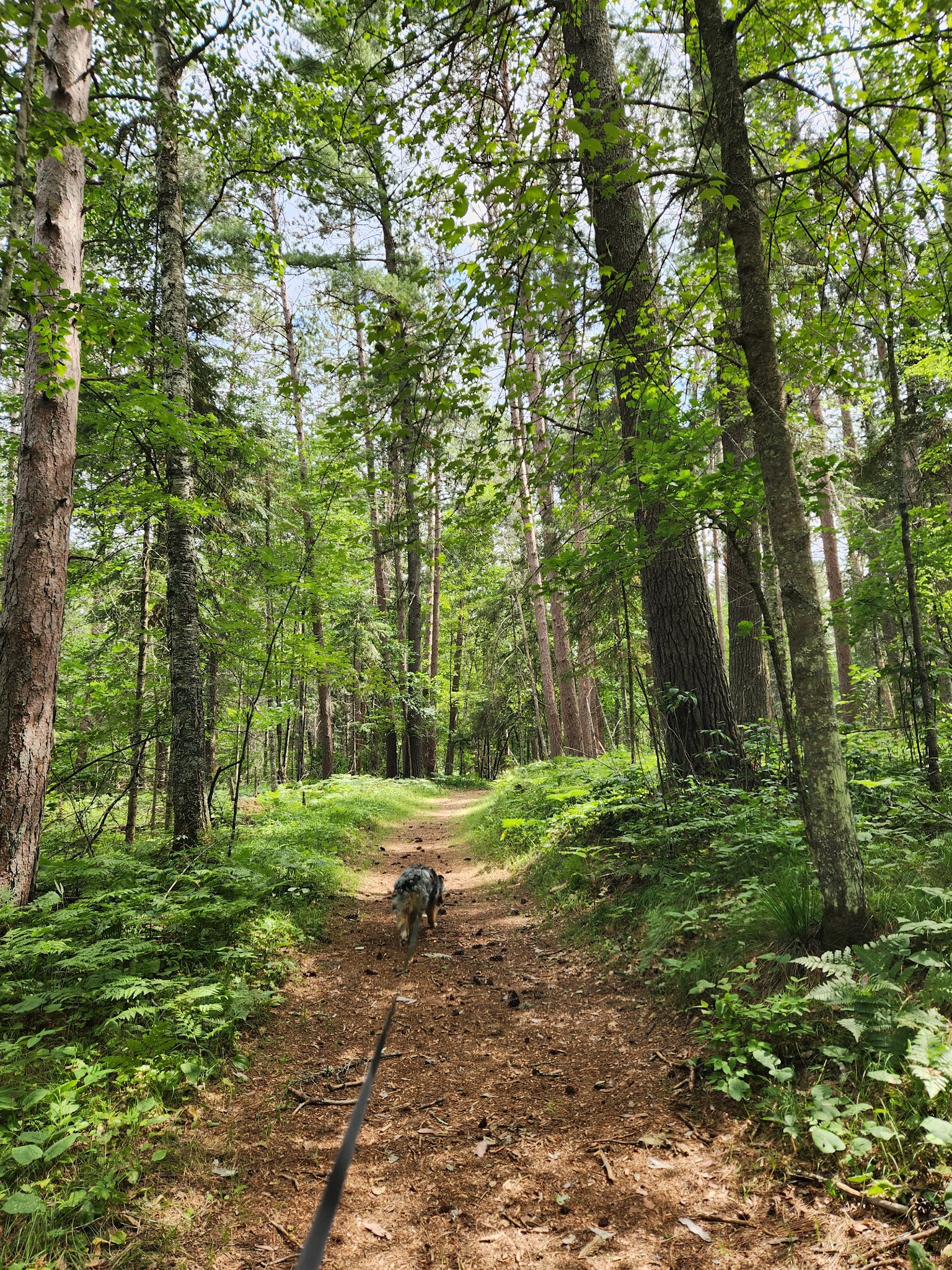 Schoolcraft Campground