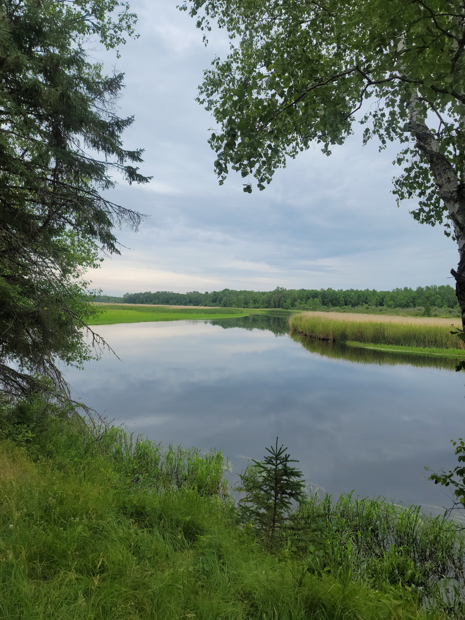 Schoolcraft Campground