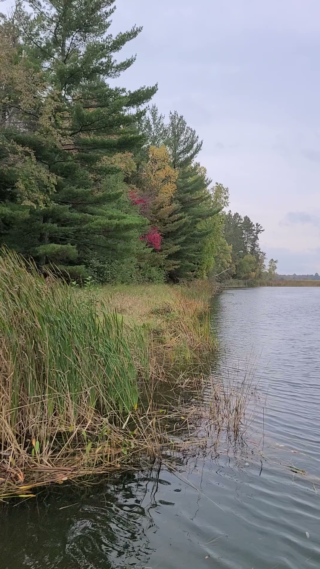 Schoolcraft Campground
