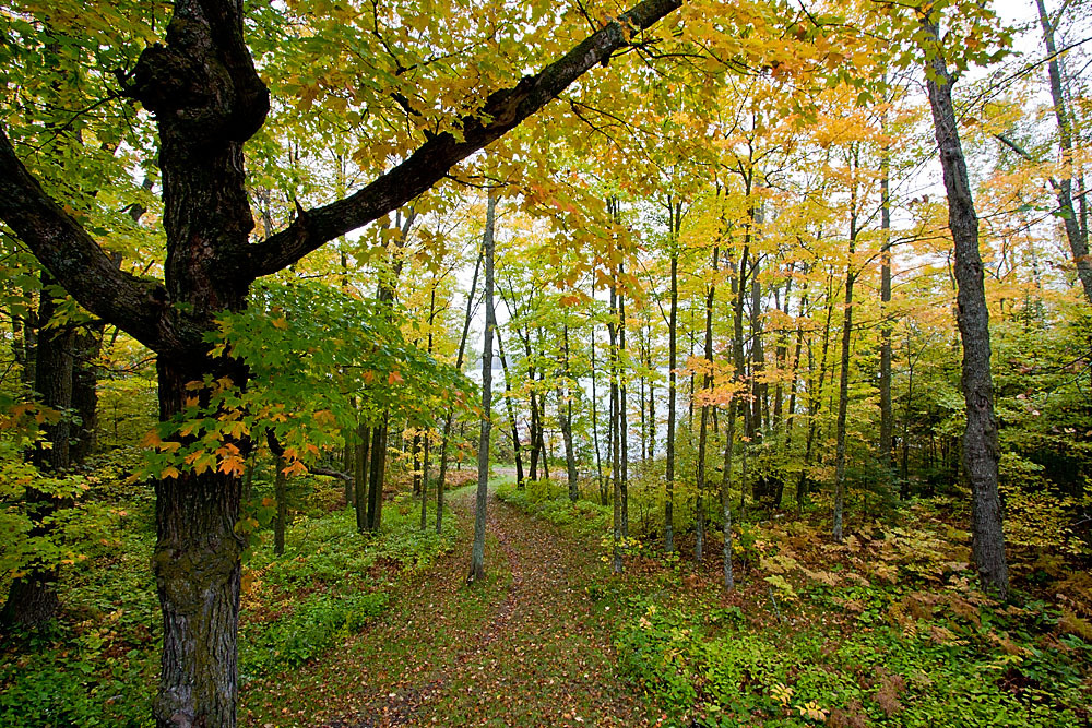 Schoolcraft Campground