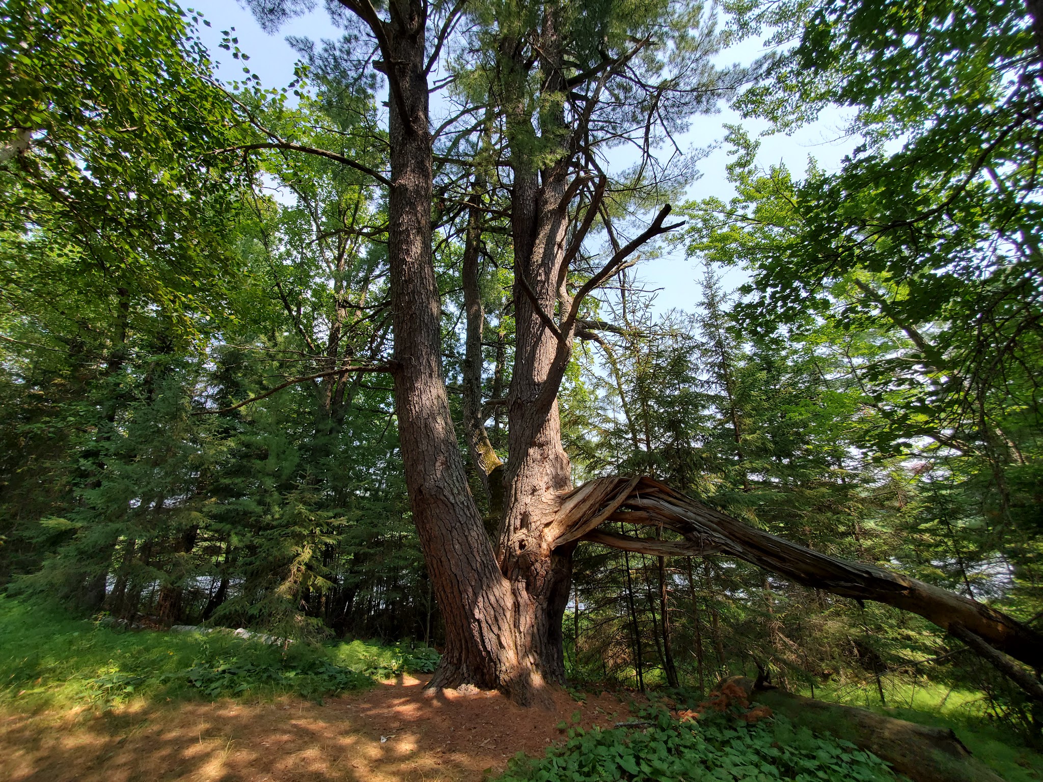 Schoolcraft Campground