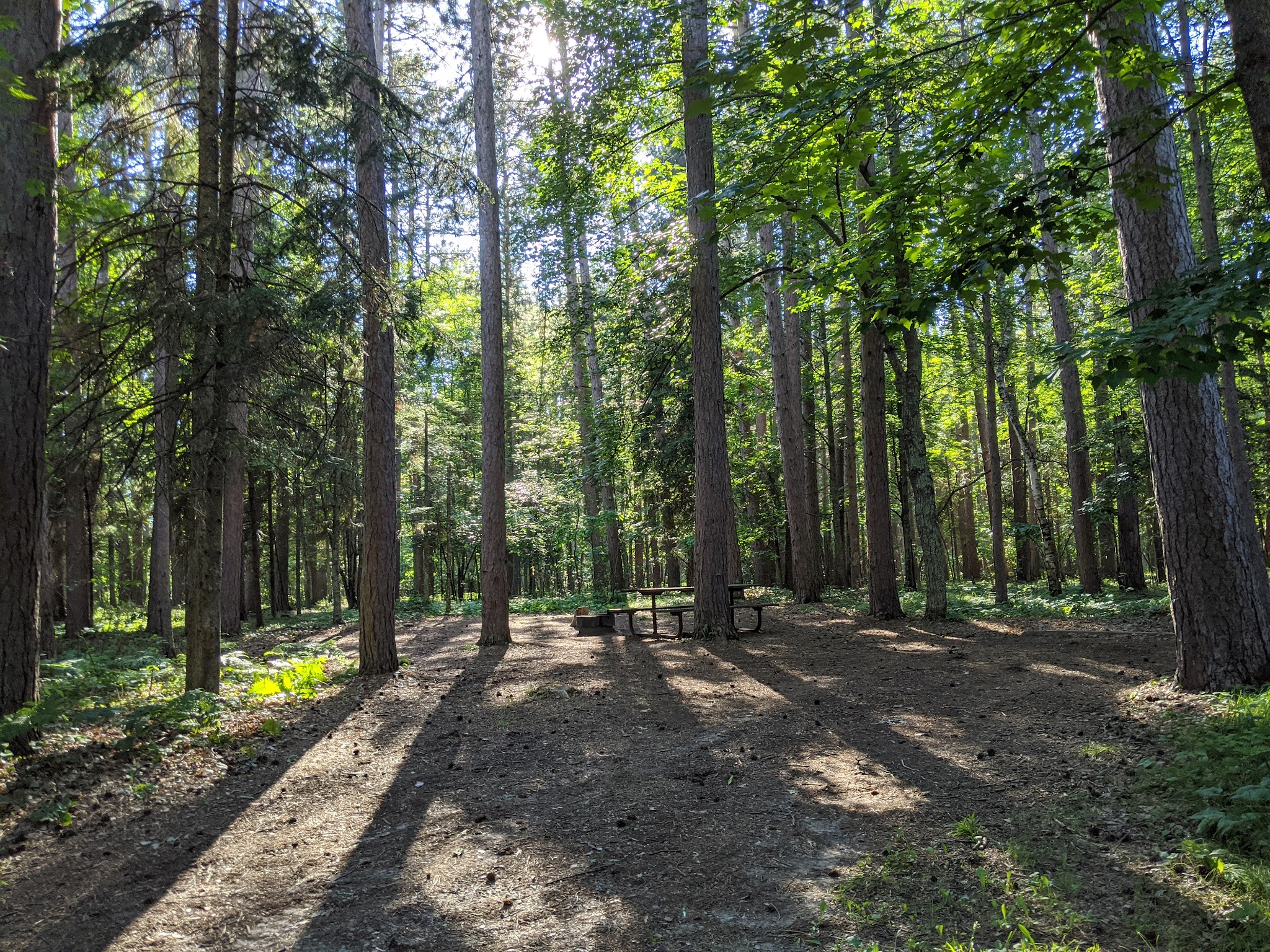 Schoolcraft Campground