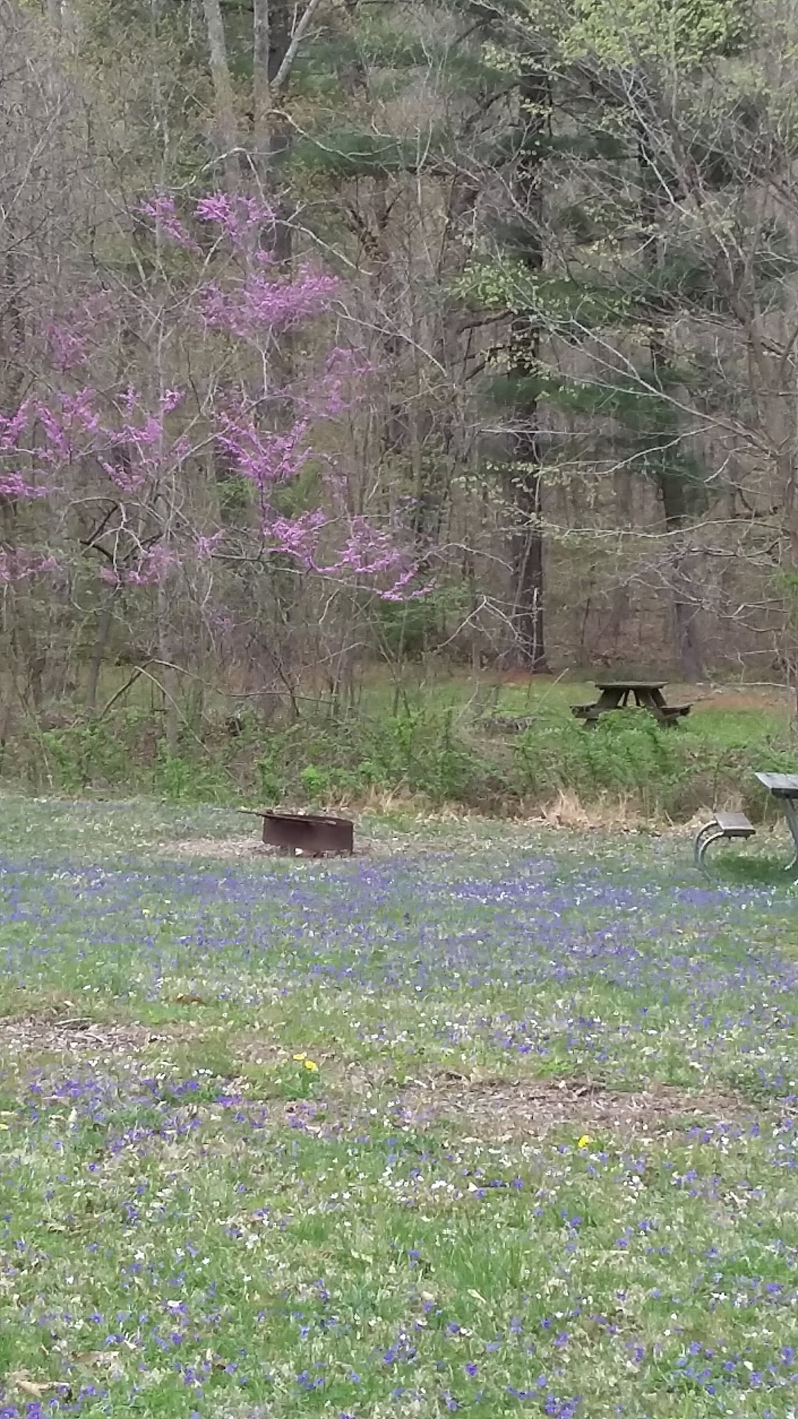 Caldwell Lake Campground