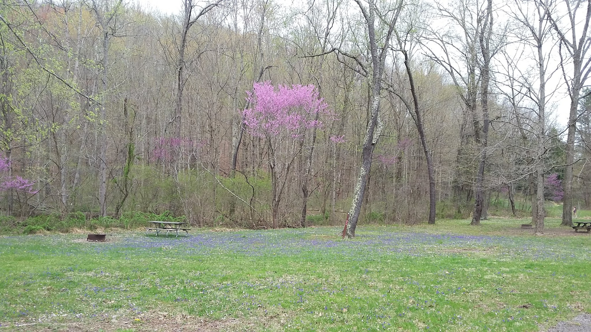 Caldwell Lake Campground