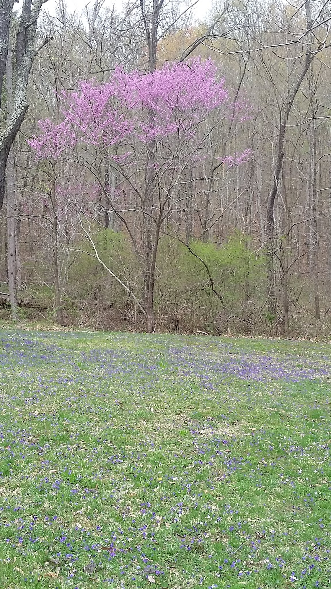 Caldwell Lake Campground