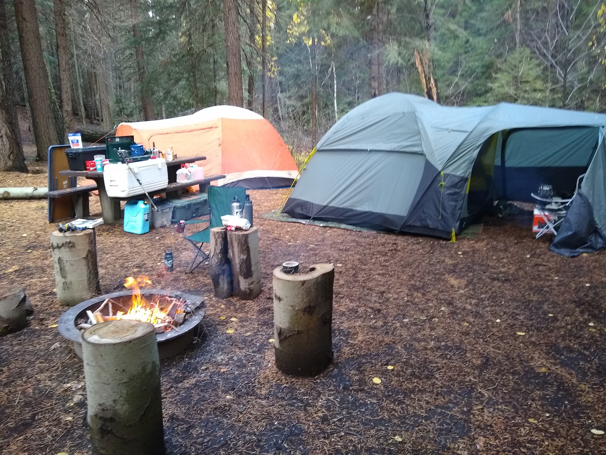 Scott Creek Campground