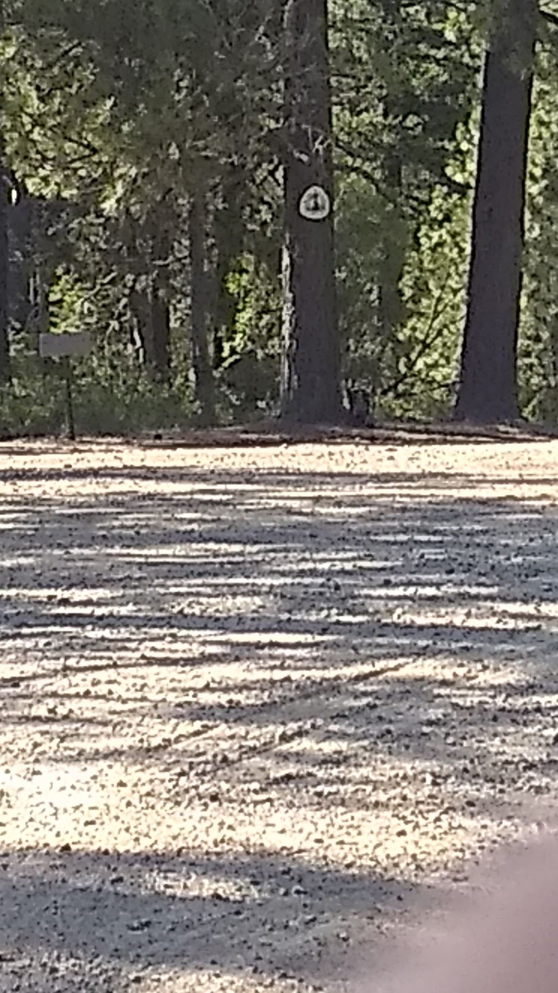 Scott Mountain Campground