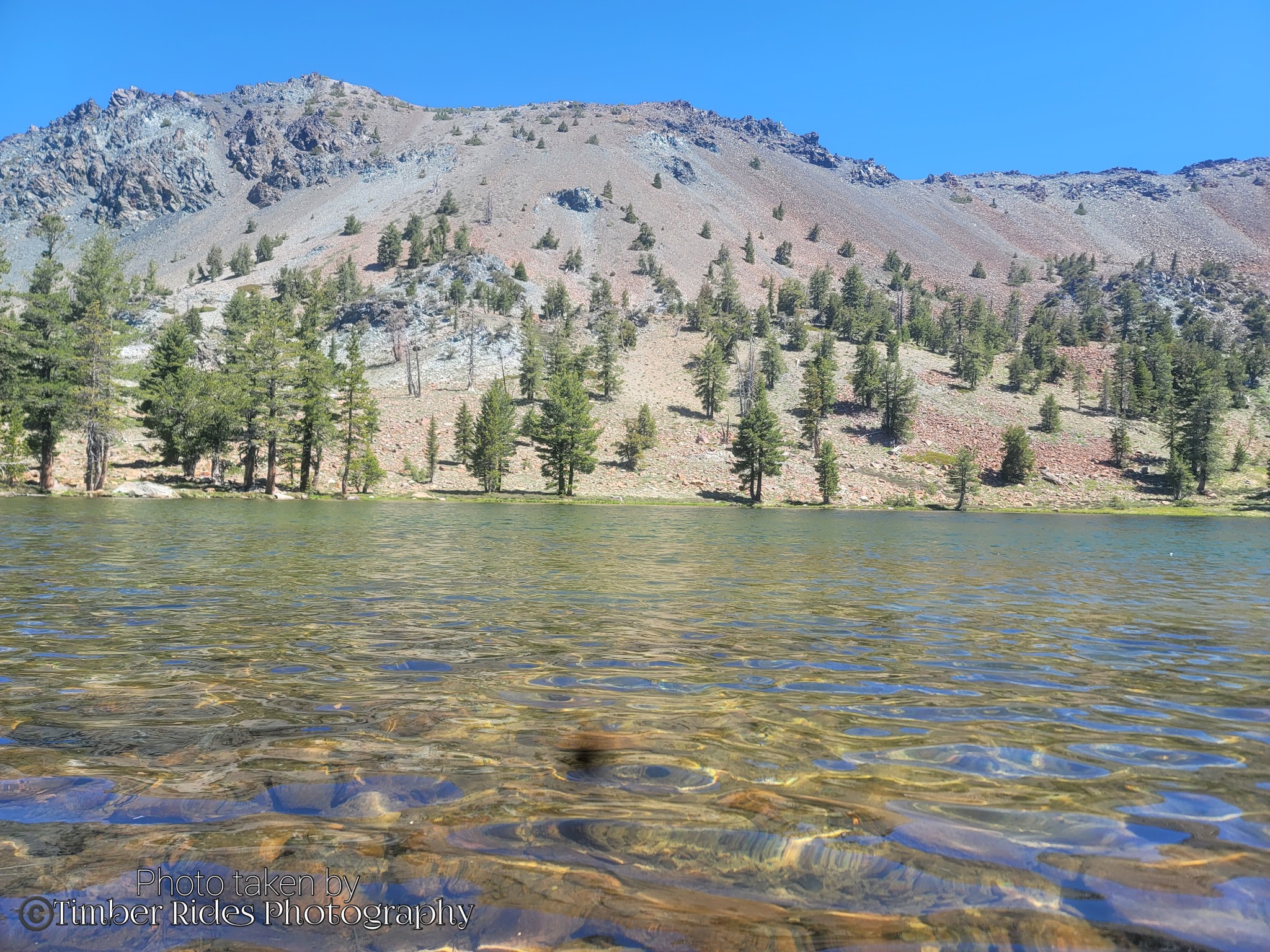 Scott Mountain Campground