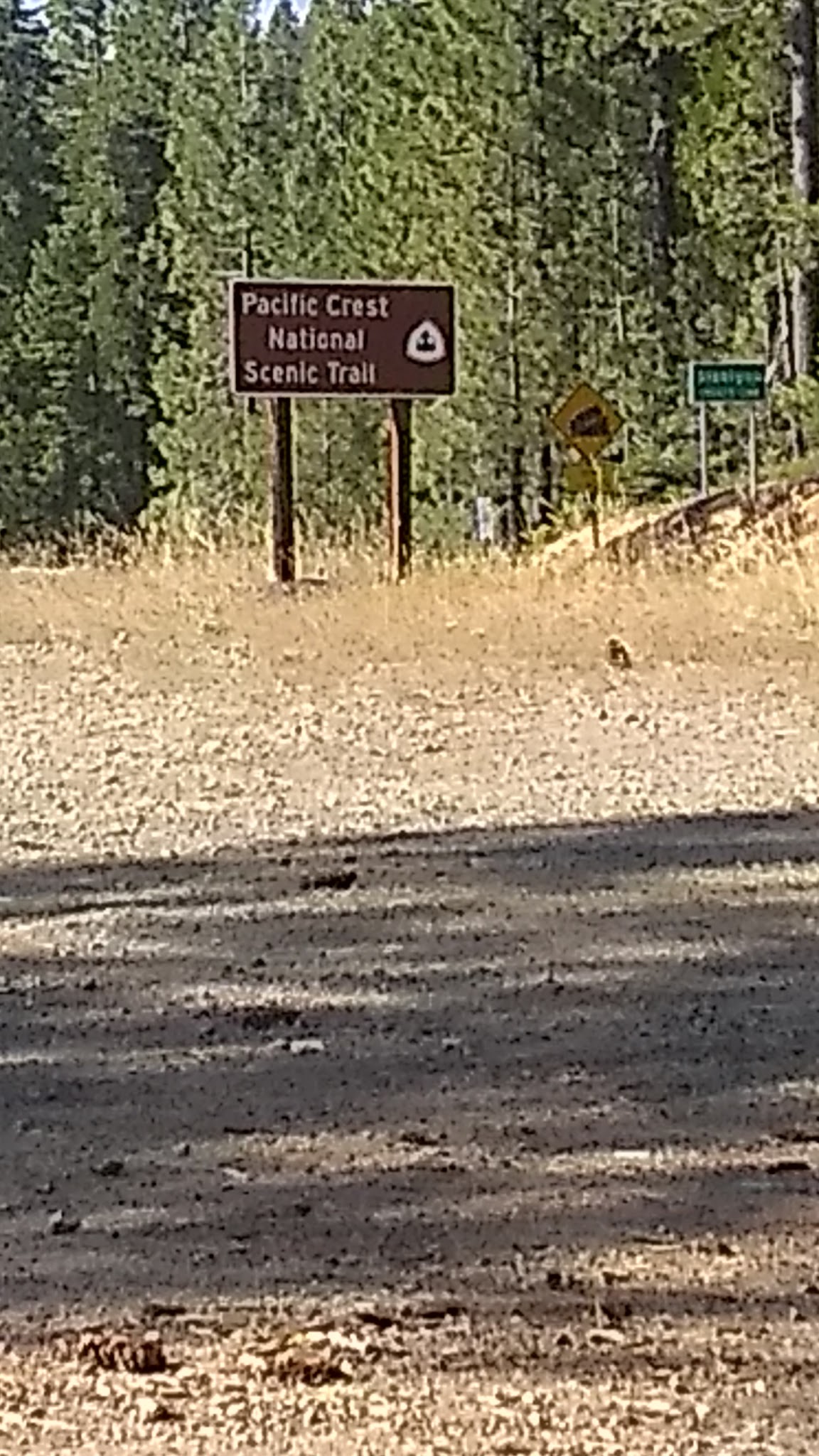 Scott Mountain Campground