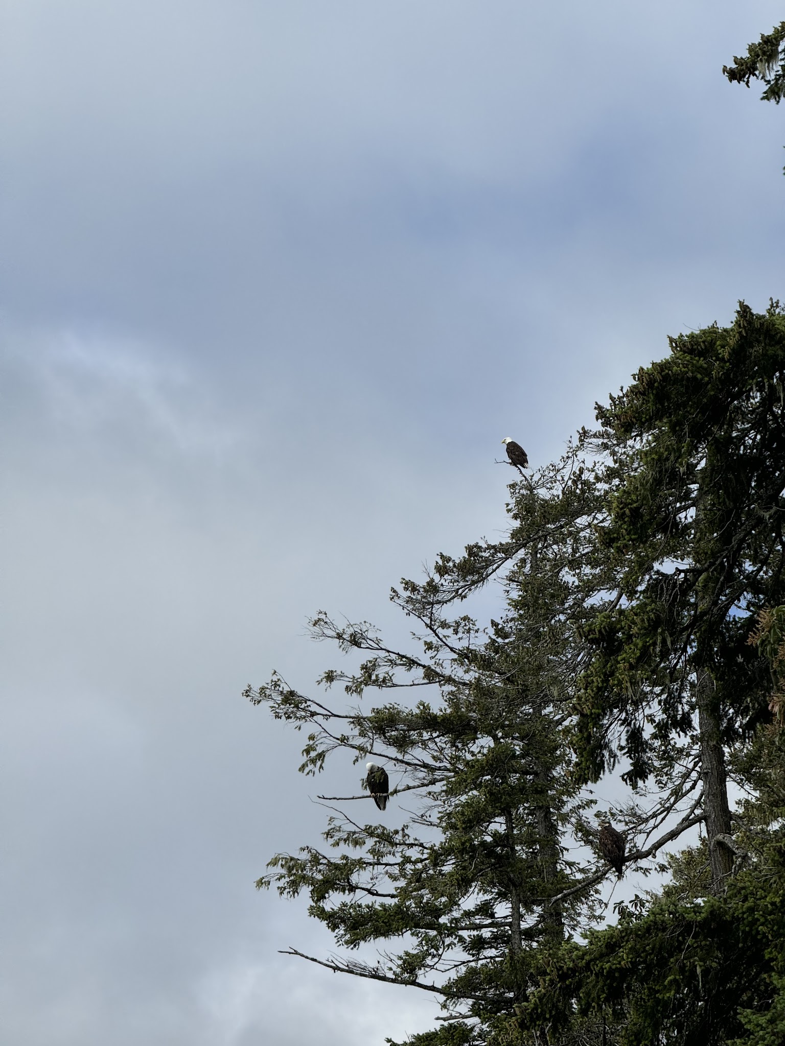 Seal Rock Campground
