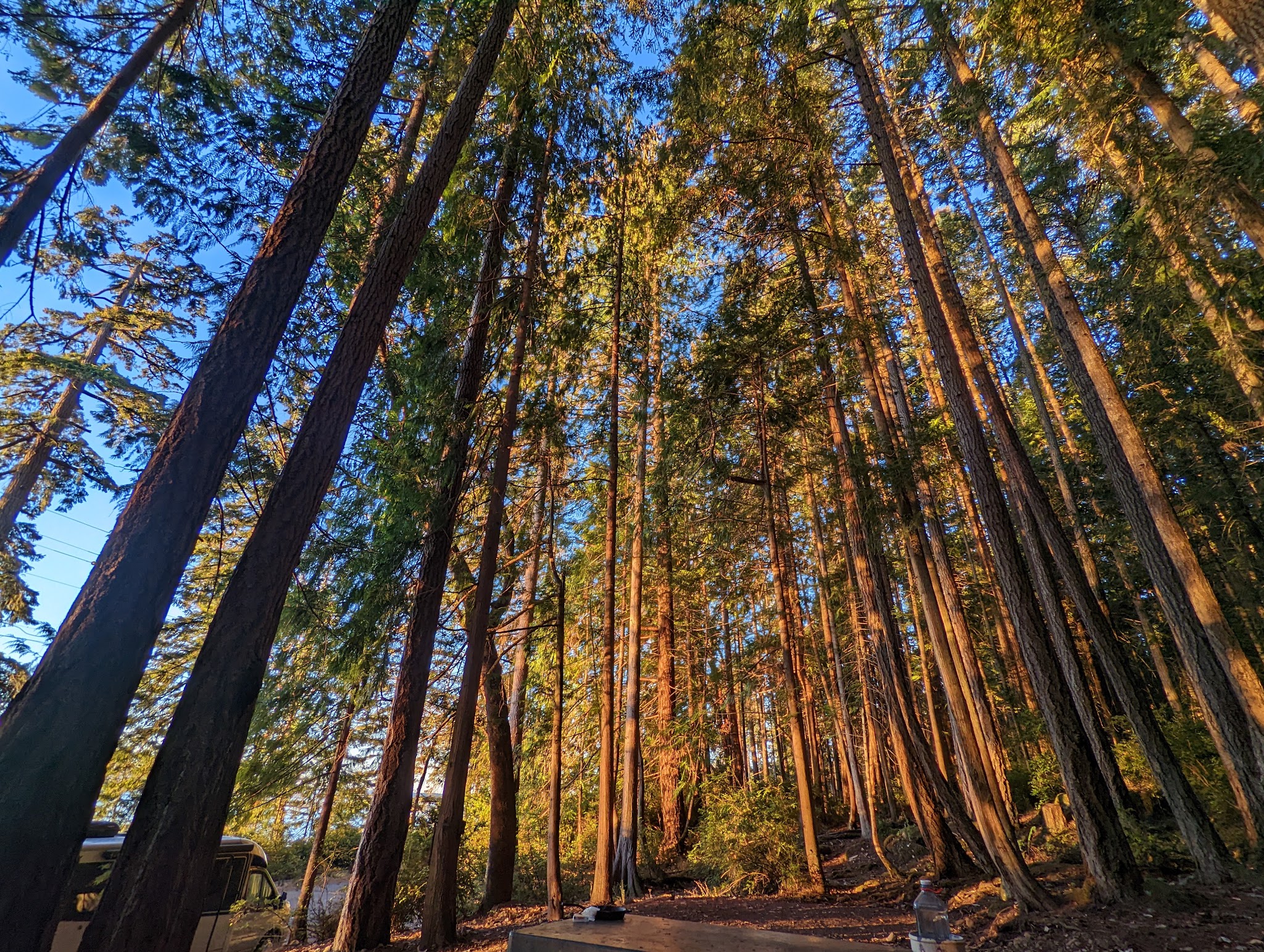 Seal Rock Campground