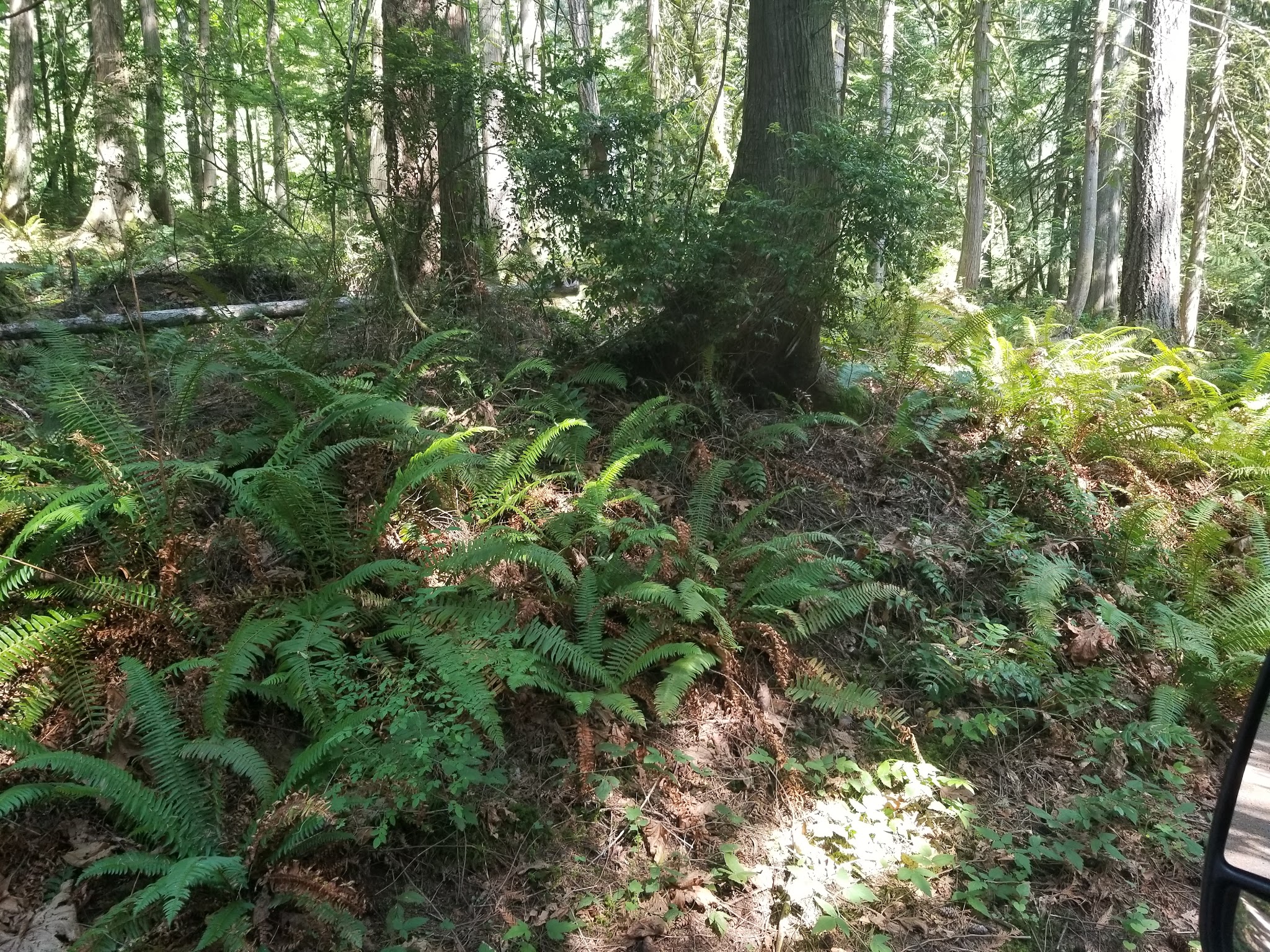 Seal Rock Campground
