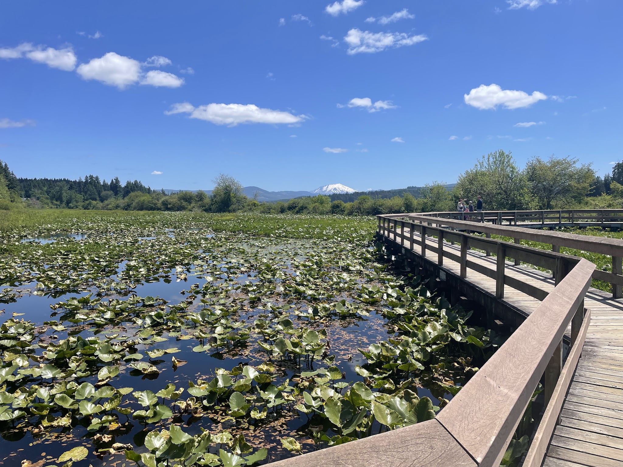 Seaquest State Park