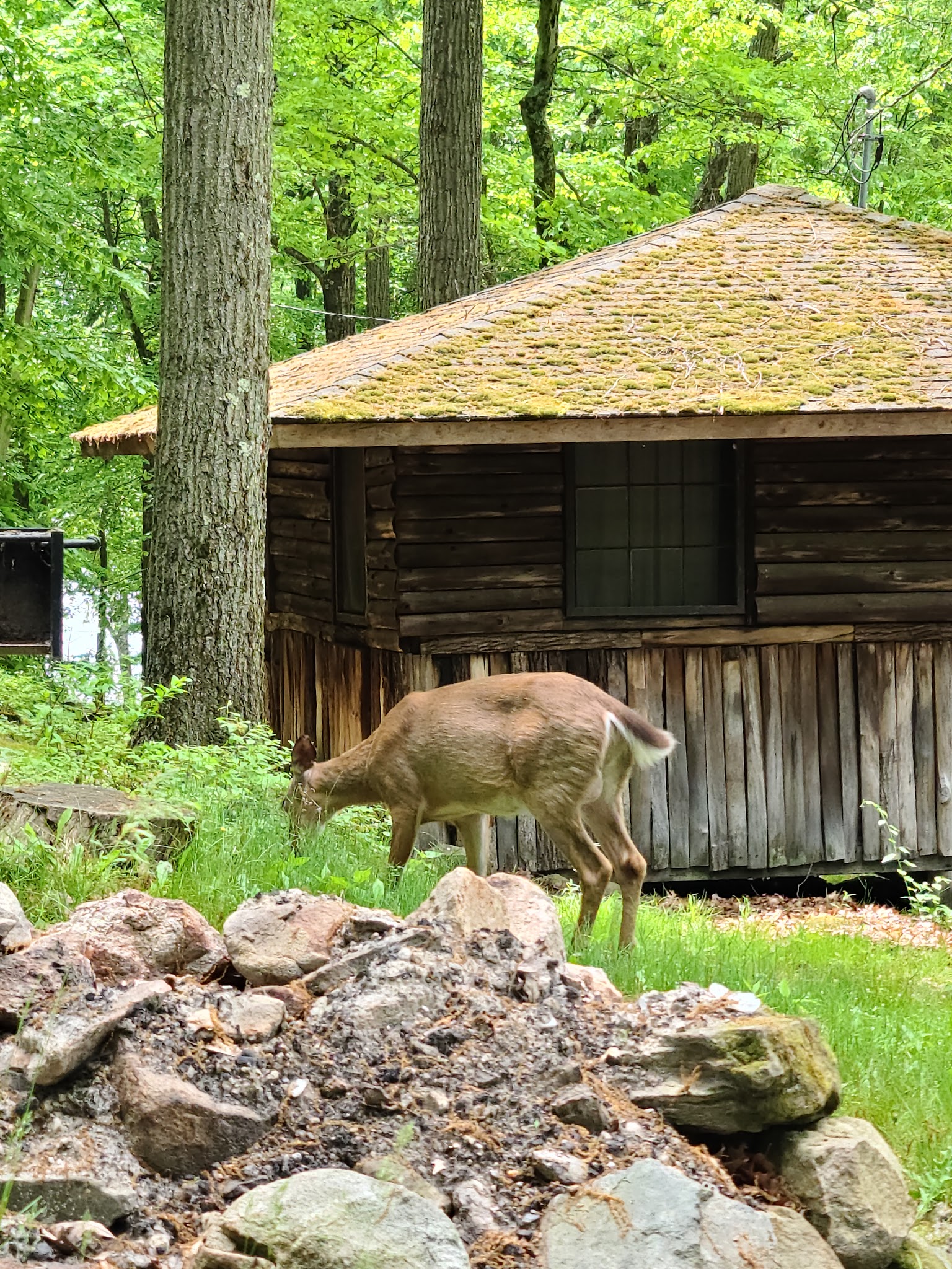 Sebago Cabins State Park